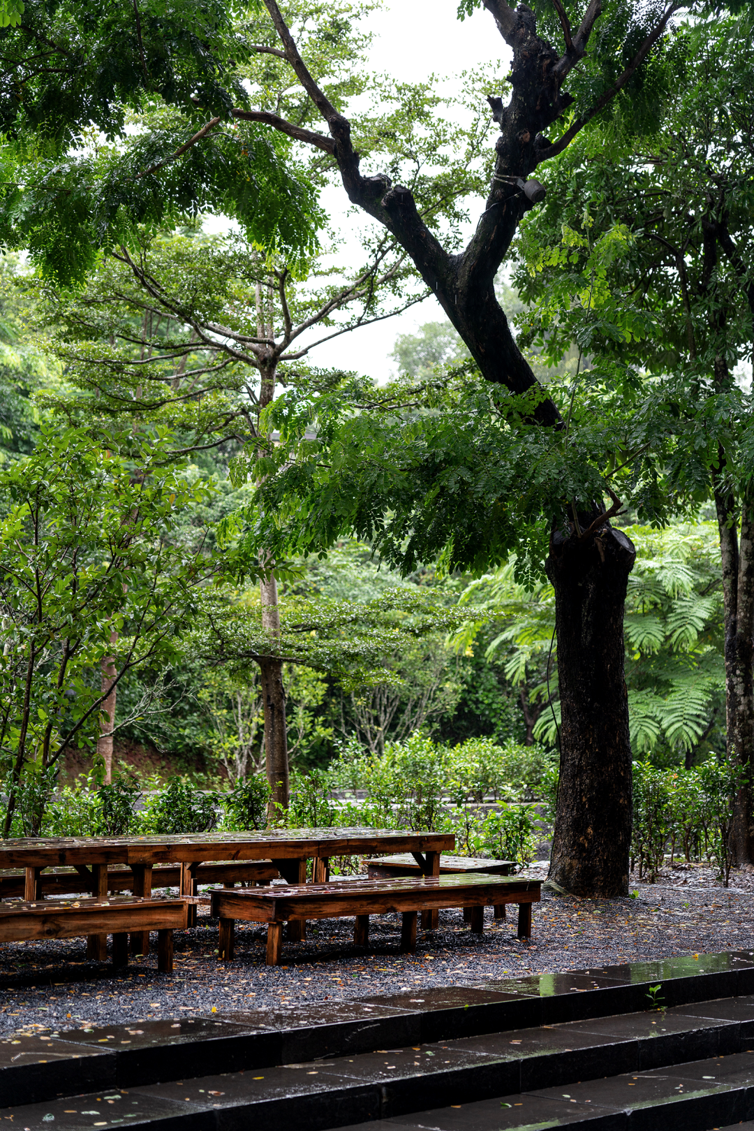 茶马古窖丨中国云南丨MASA STUDIO-71