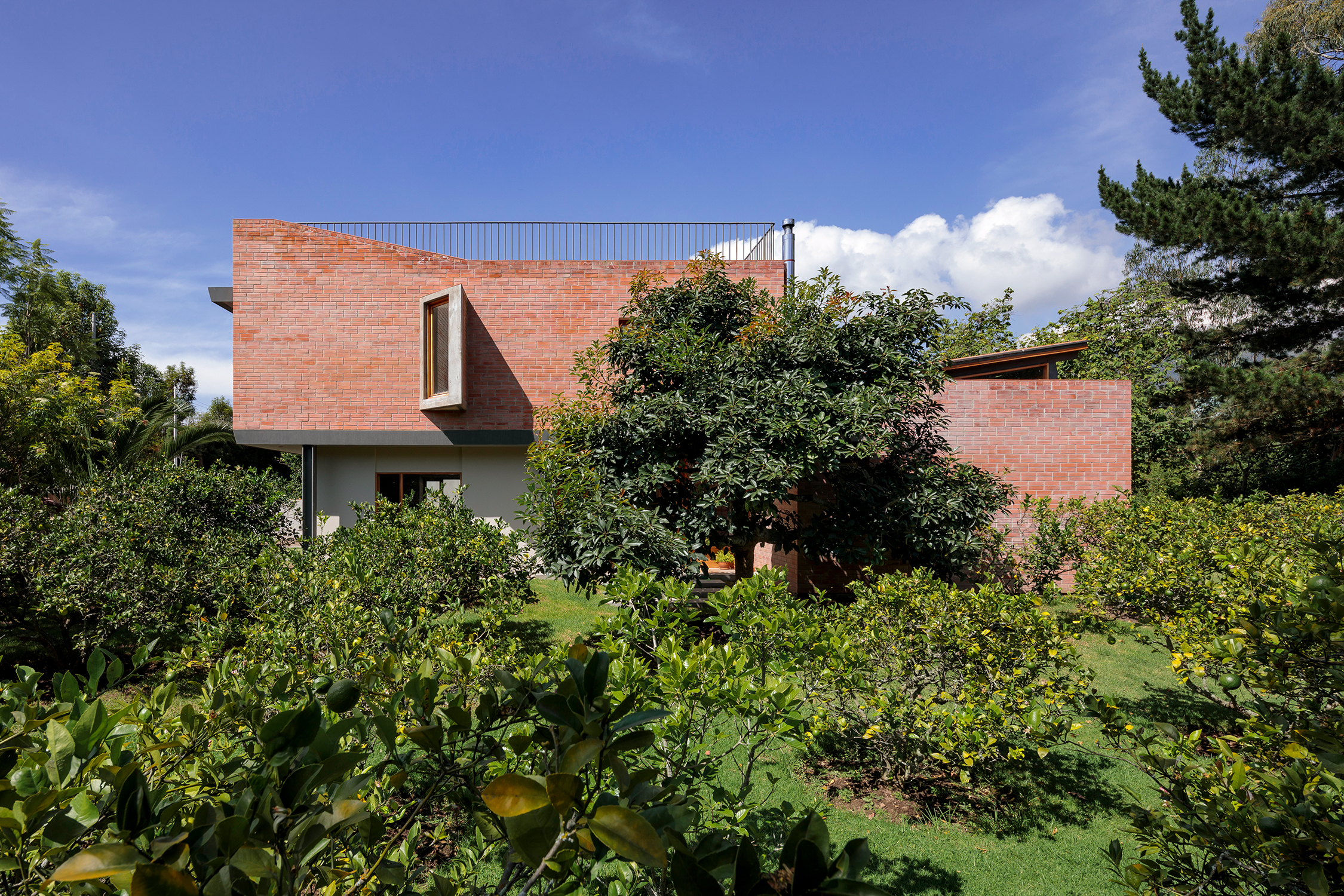 积木债券之家-20