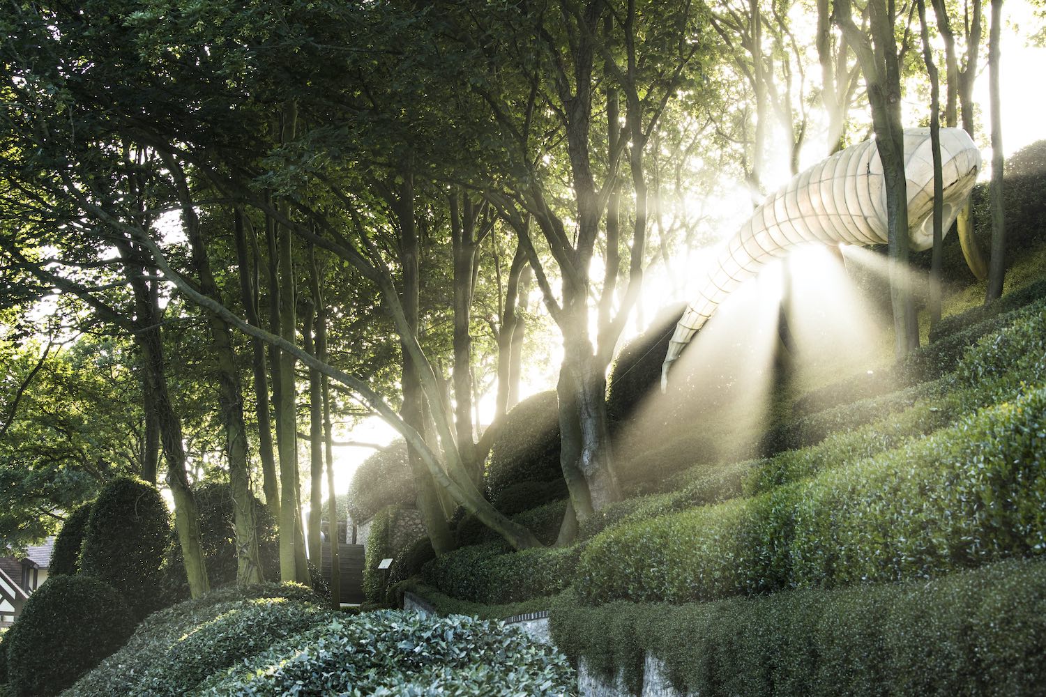 艾特勒塔花园景观设计丨法国丨IL NATURE-9