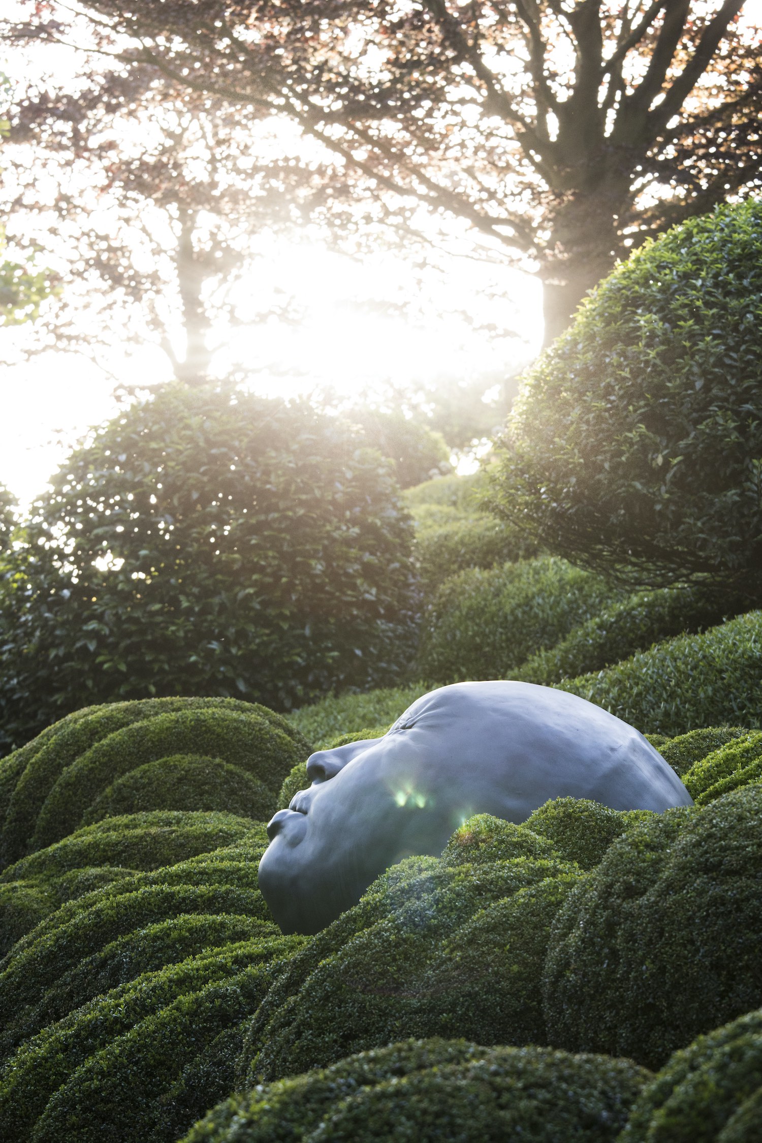 艾特勒塔花园景观设计丨法国丨IL NATURE-22