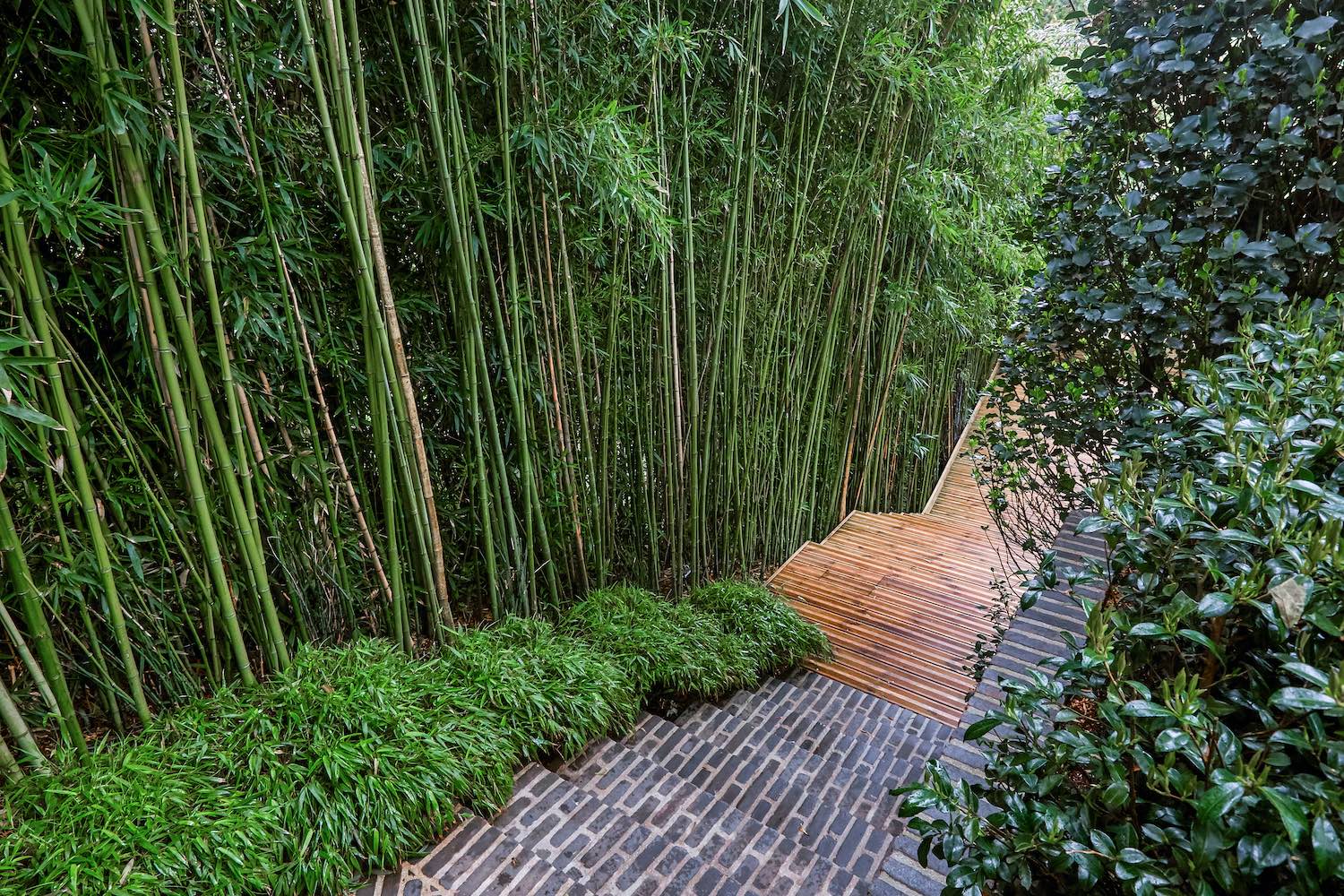 艾特勒塔花园景观设计丨法国丨IL NATURE-31