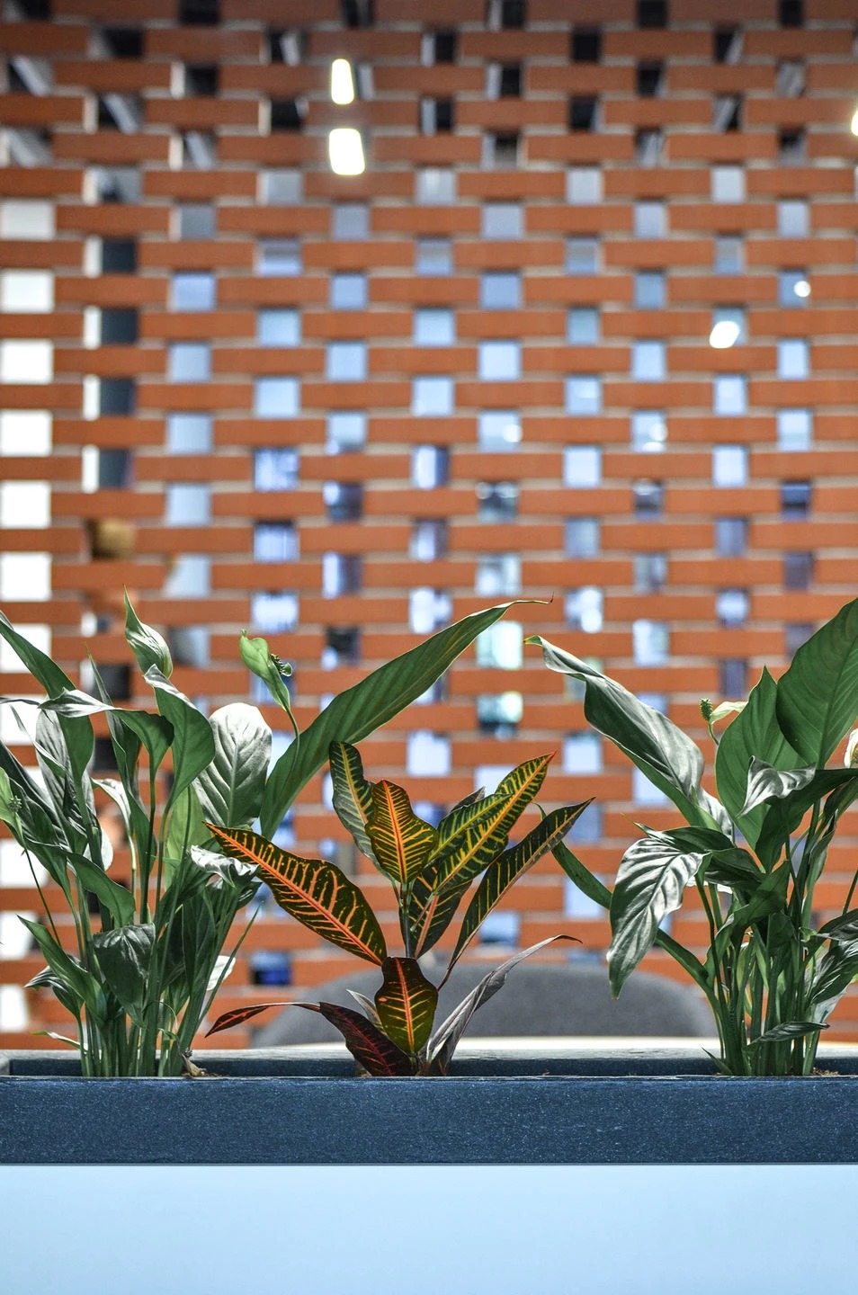 Wienerberger Office | yellow office architecture-7