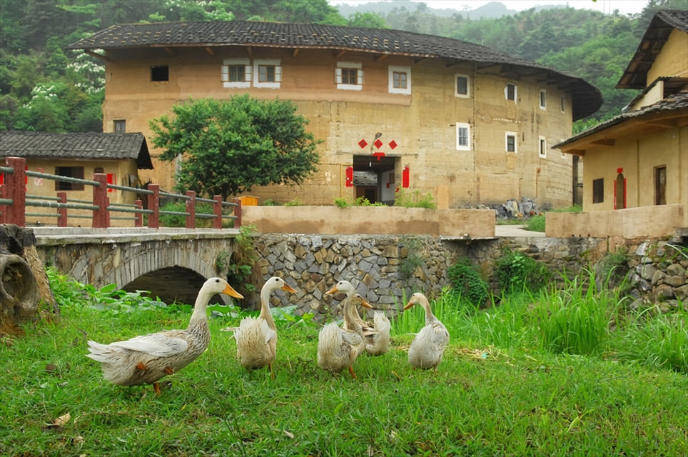 福建土楼丨中国龙岩丨福建土楼-9