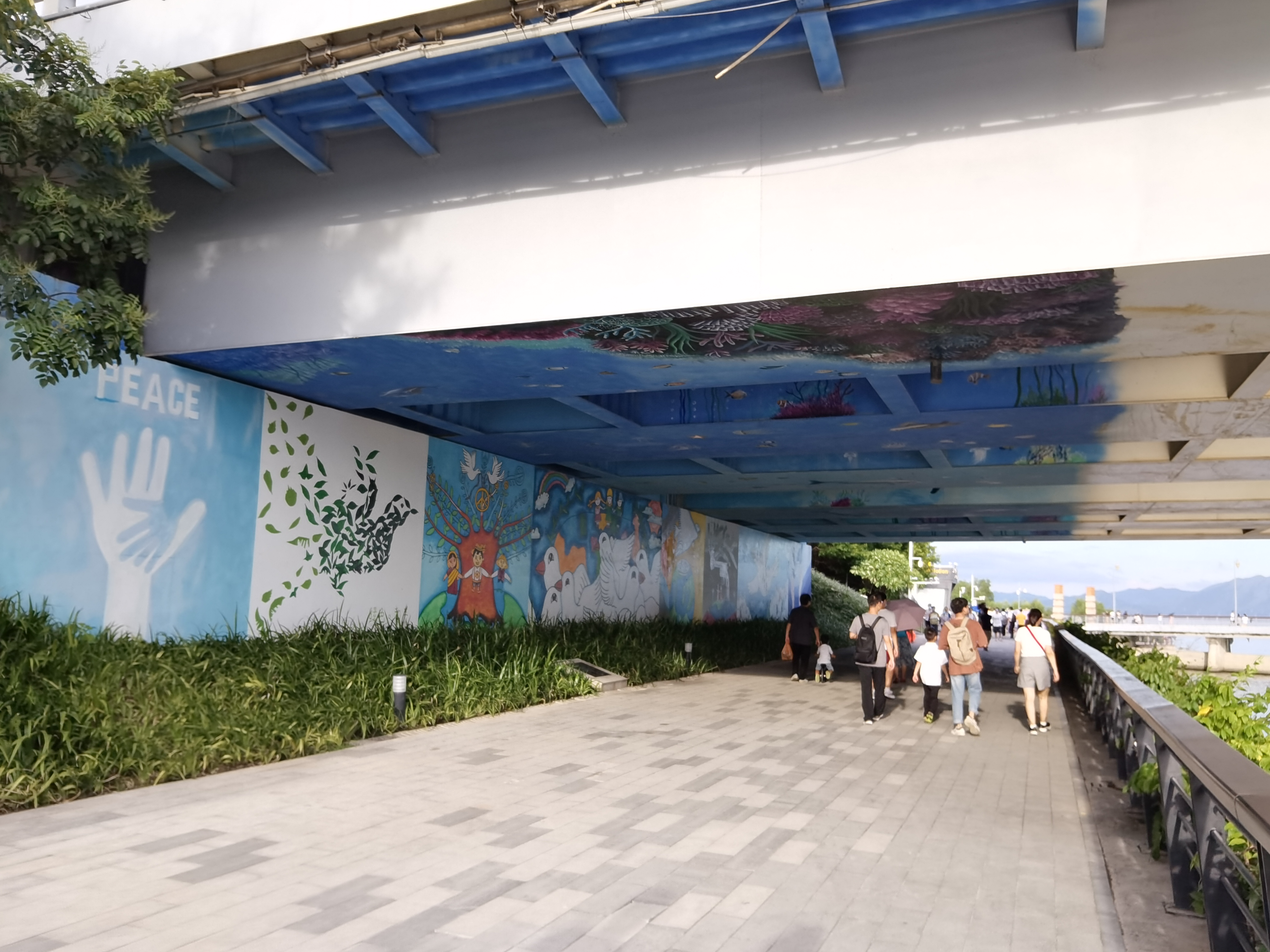 人才公园丨中国深圳-23