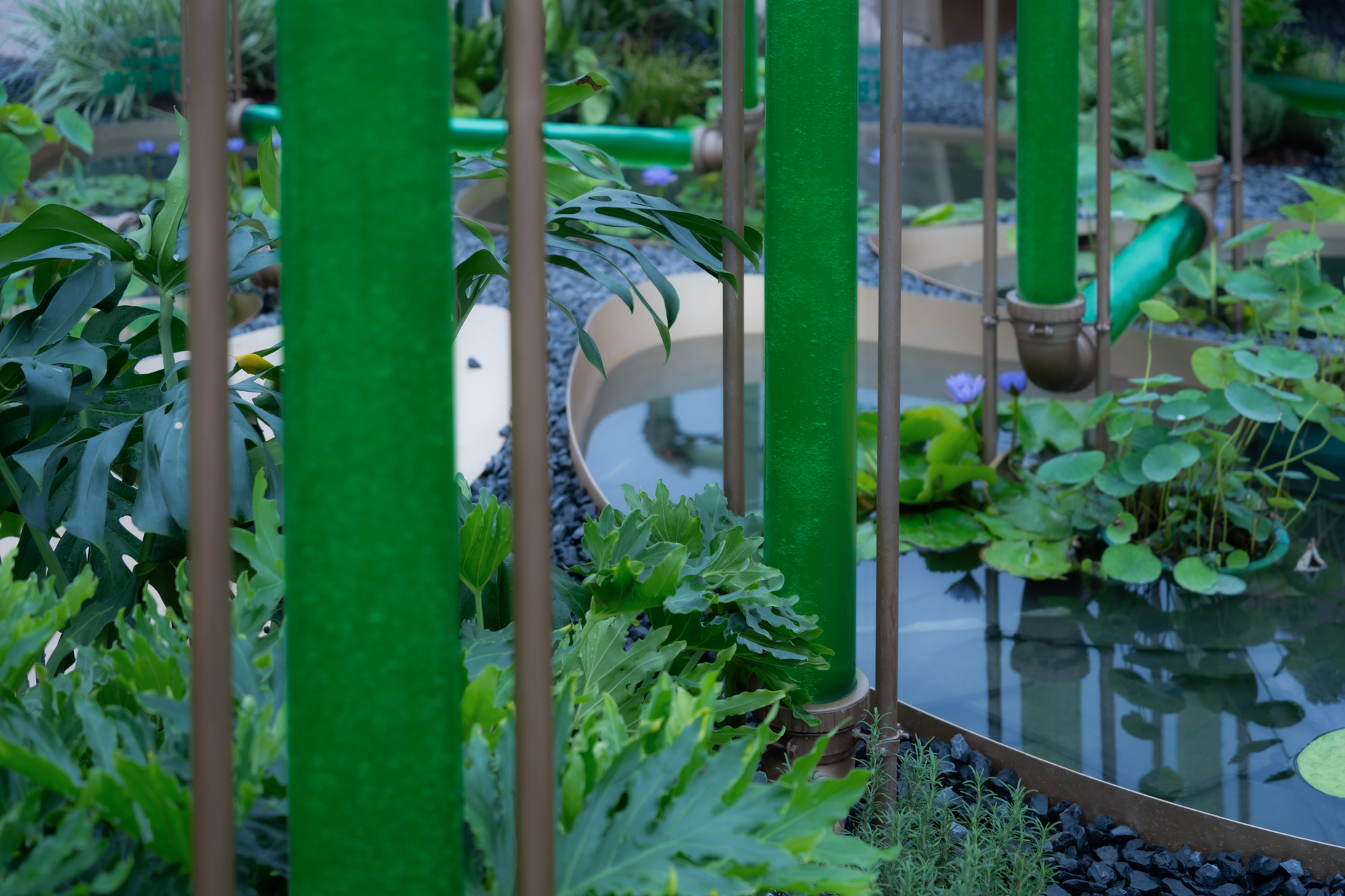 2023成都花展-微藻实验花园丨澳博景观丨2023丨四川成都-20