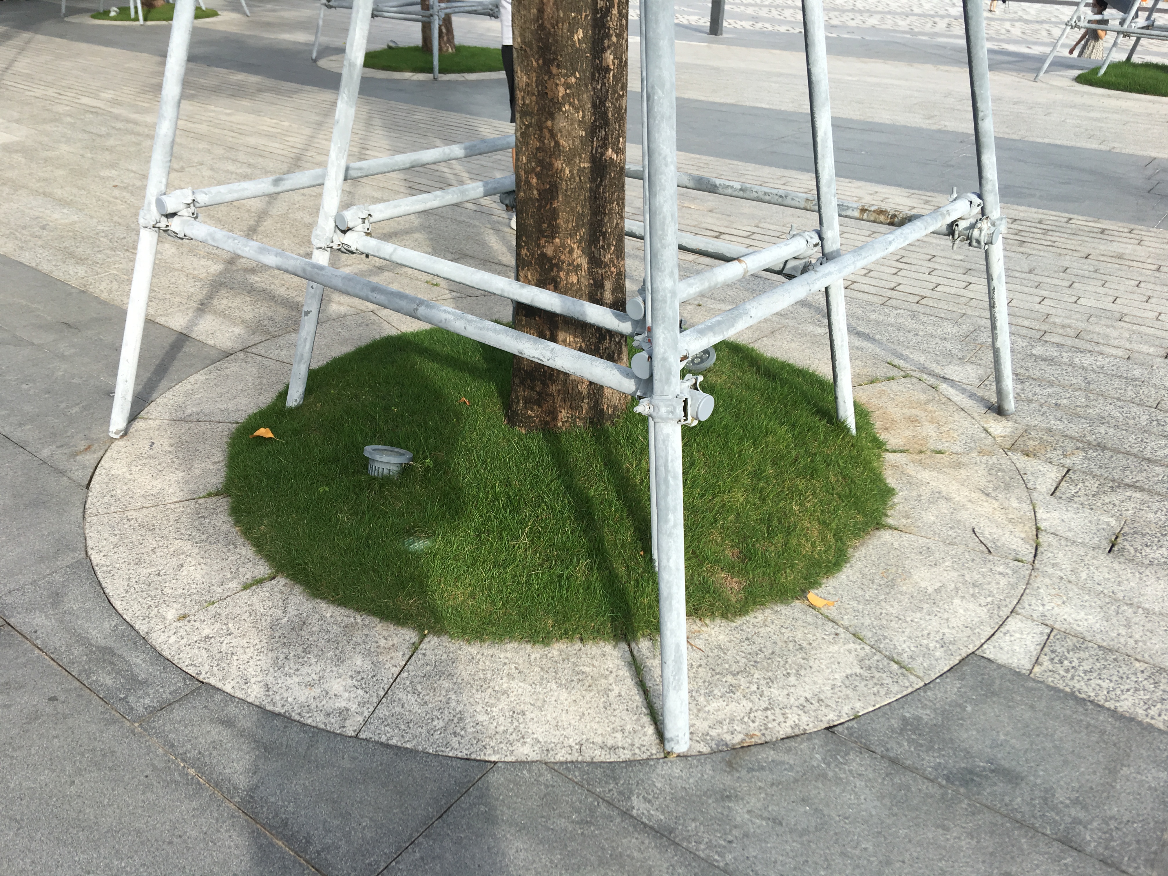 人才公园丨中国深圳-6