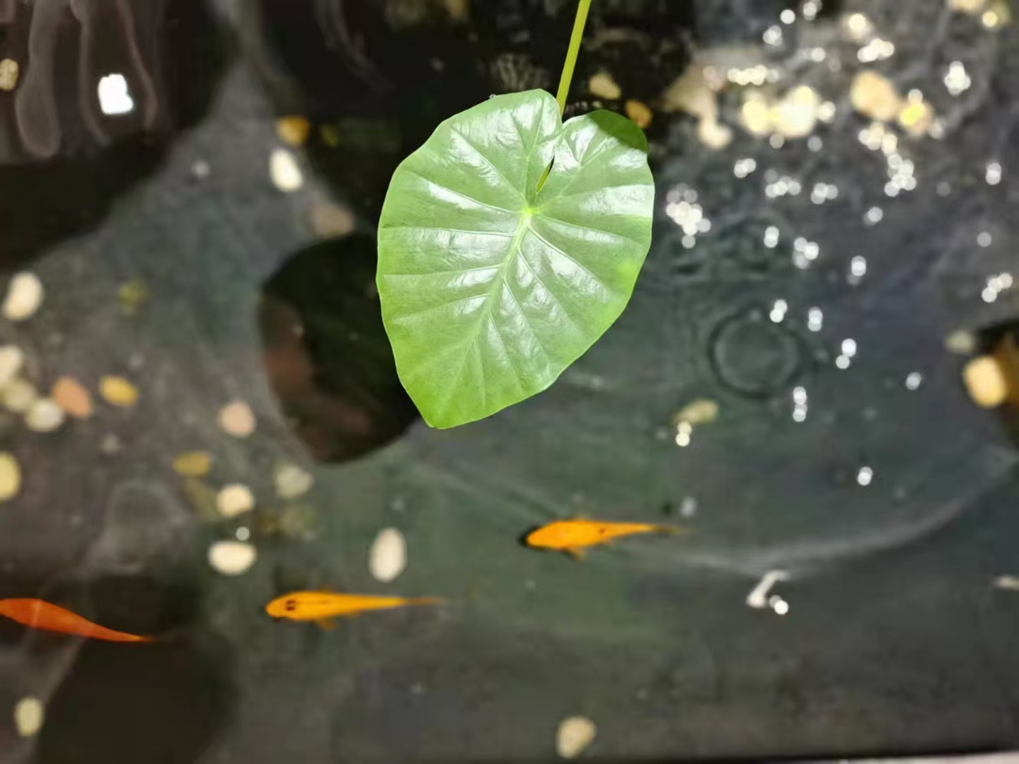 古韵新生 · 西溪古村归本堂空间设计丨中国东莞-26