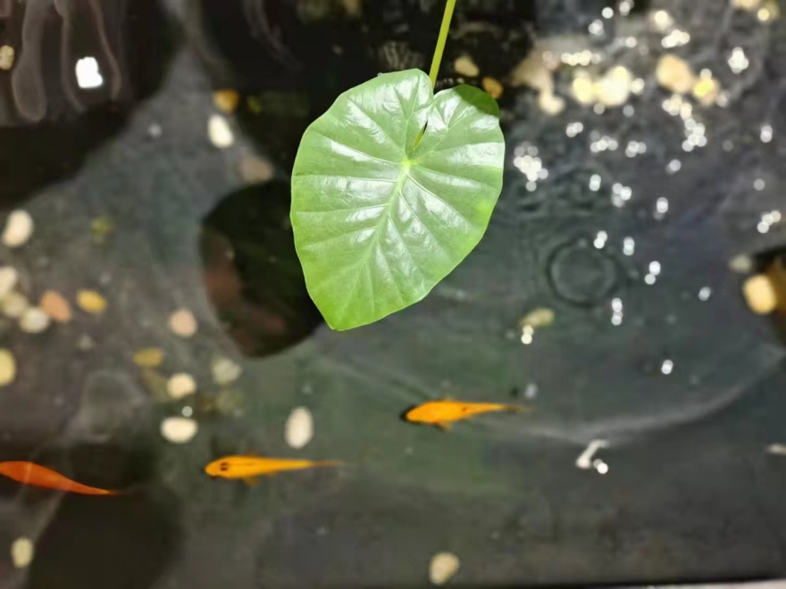 古韵新生 · 西溪古村归本堂空间设计丨中国东莞-26