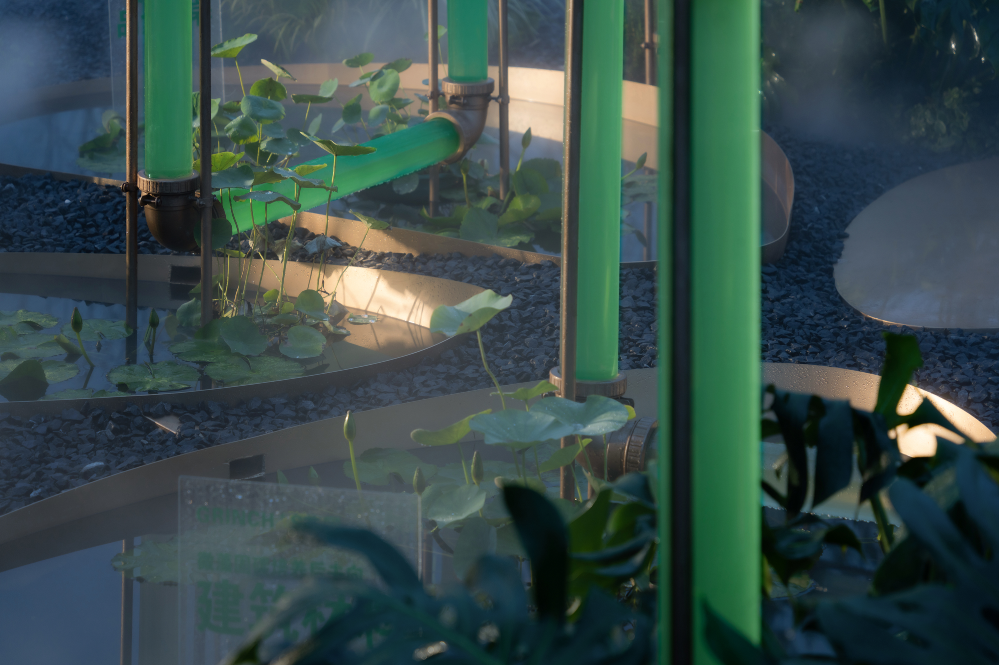 2023成都花展-微藻实验花园丨澳博景观丨2023丨四川成都-4