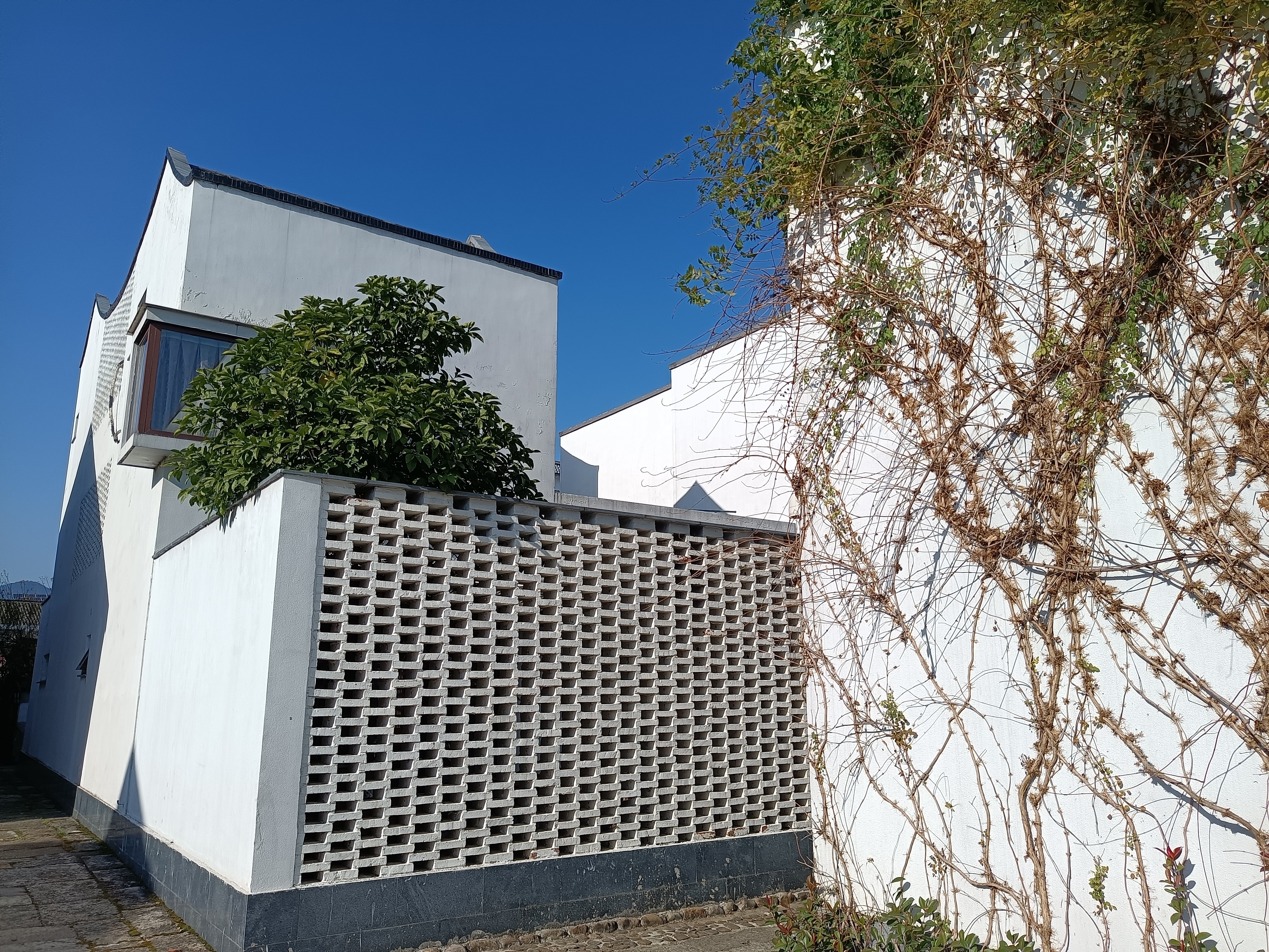 东梓关村丨中国杭州-5