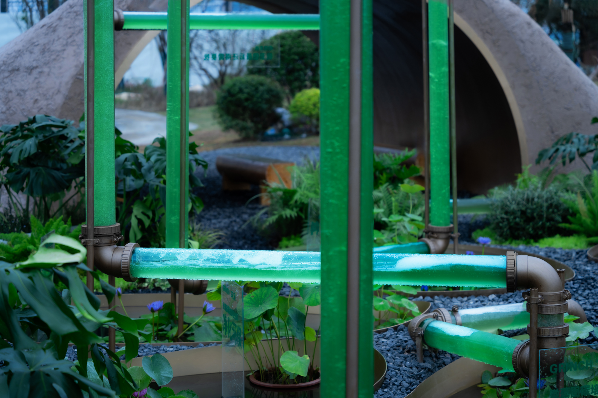 2023成都花展-微藻实验花园丨澳博景观丨2023丨四川成都-0