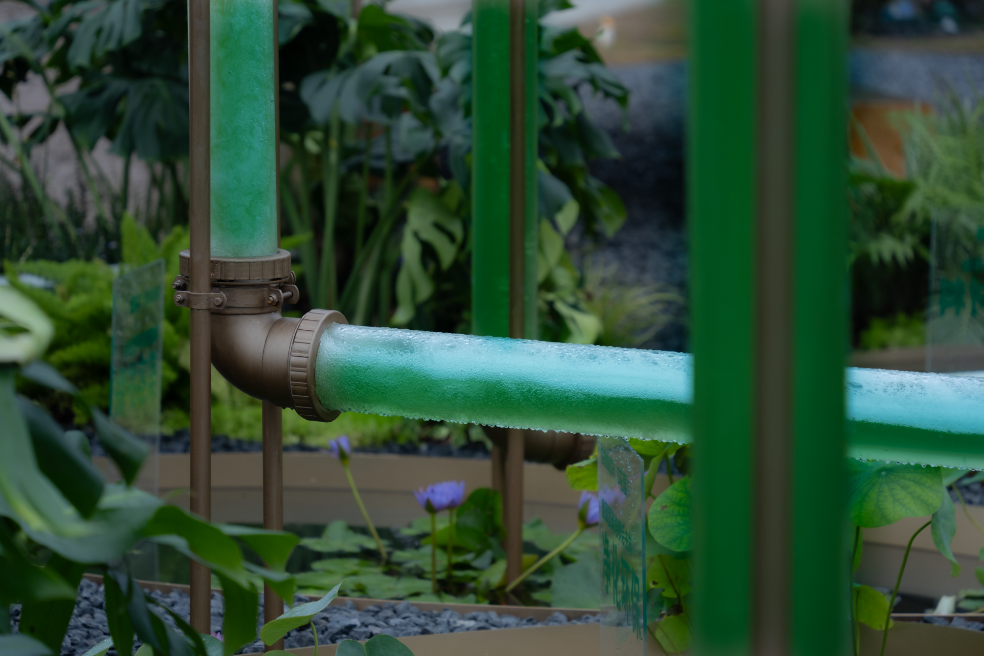 2023成都花展-微藻实验花园丨澳博景观丨2023丨四川成都-31