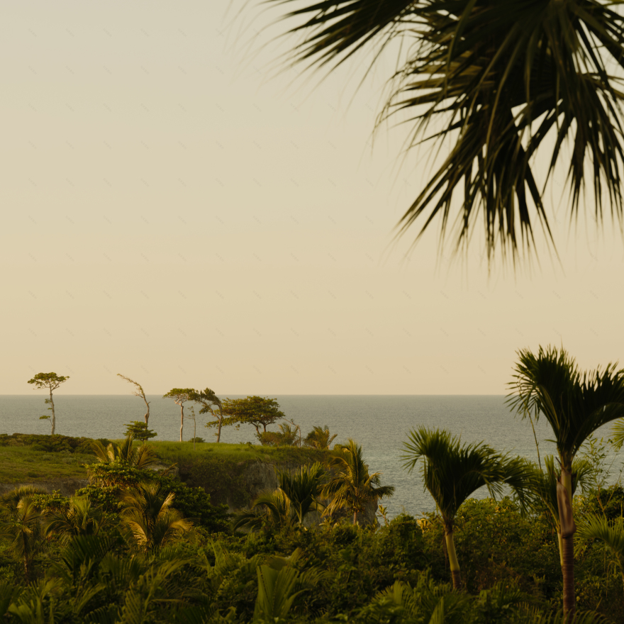 安缦茵澜 AMANERA | 热带雨林中的度假天堂-7