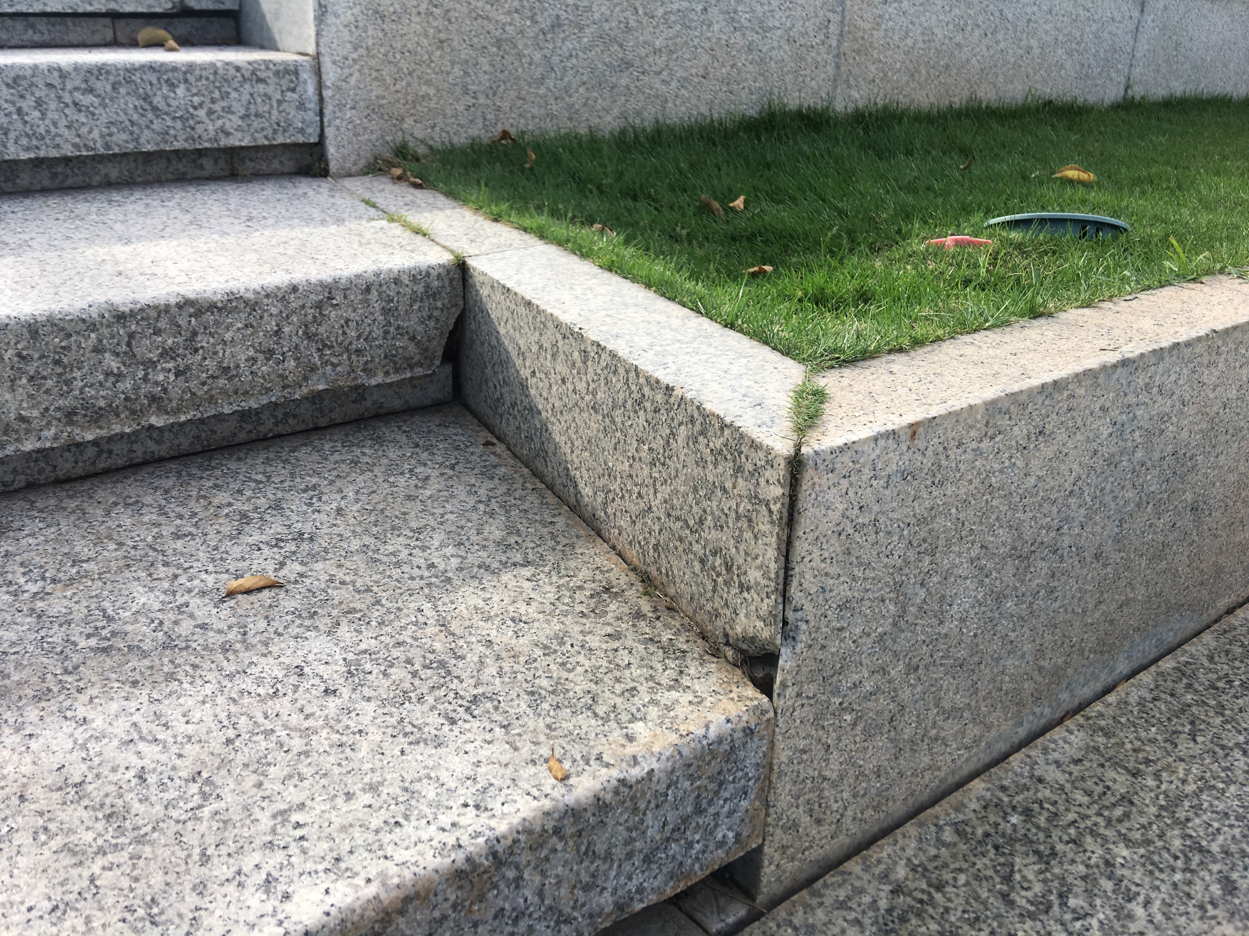 人才公园丨中国深圳-24