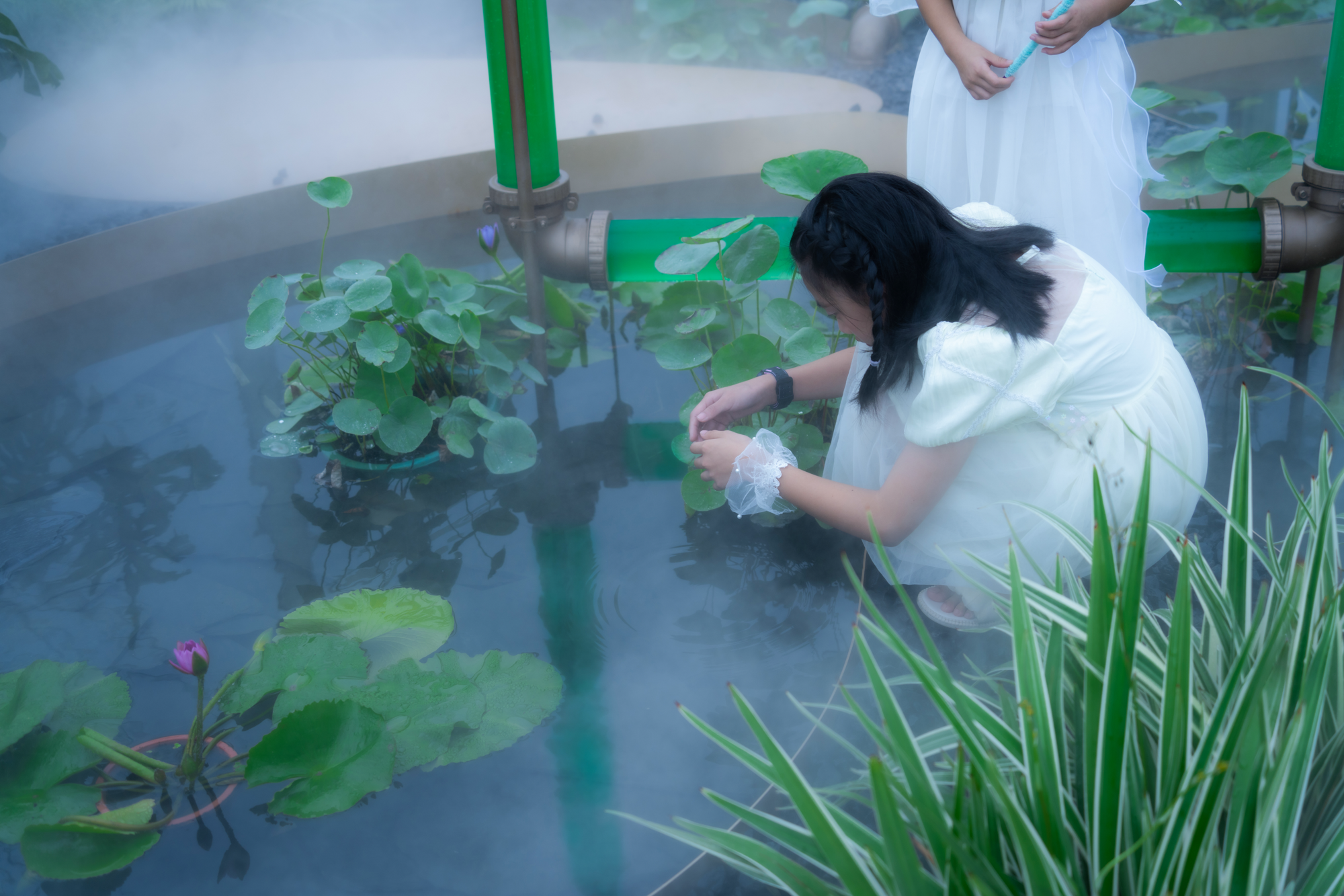 2023成都花展-微藻实验花园丨澳博景观丨2023丨四川成都-16