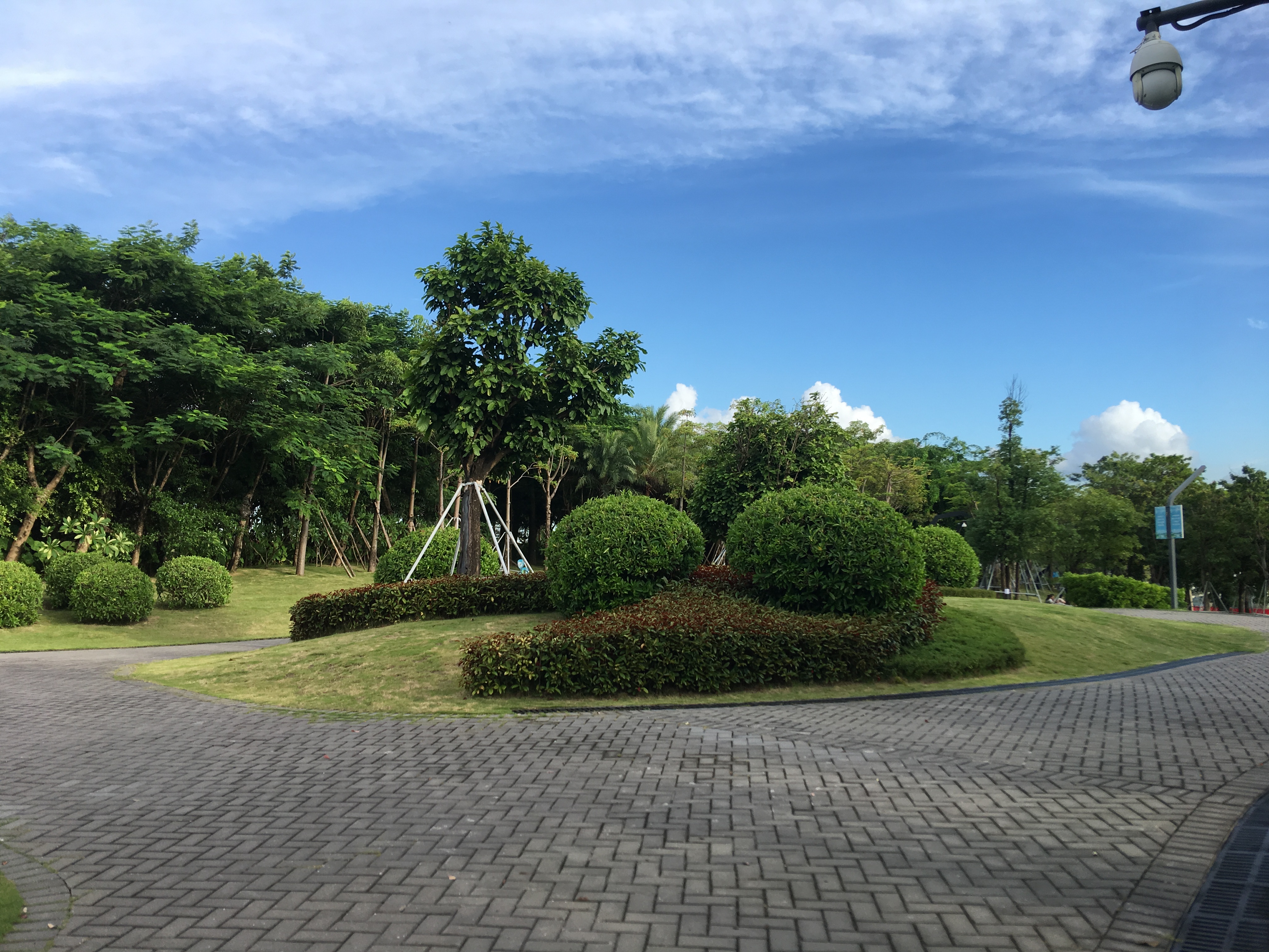 人才公园丨中国深圳-22