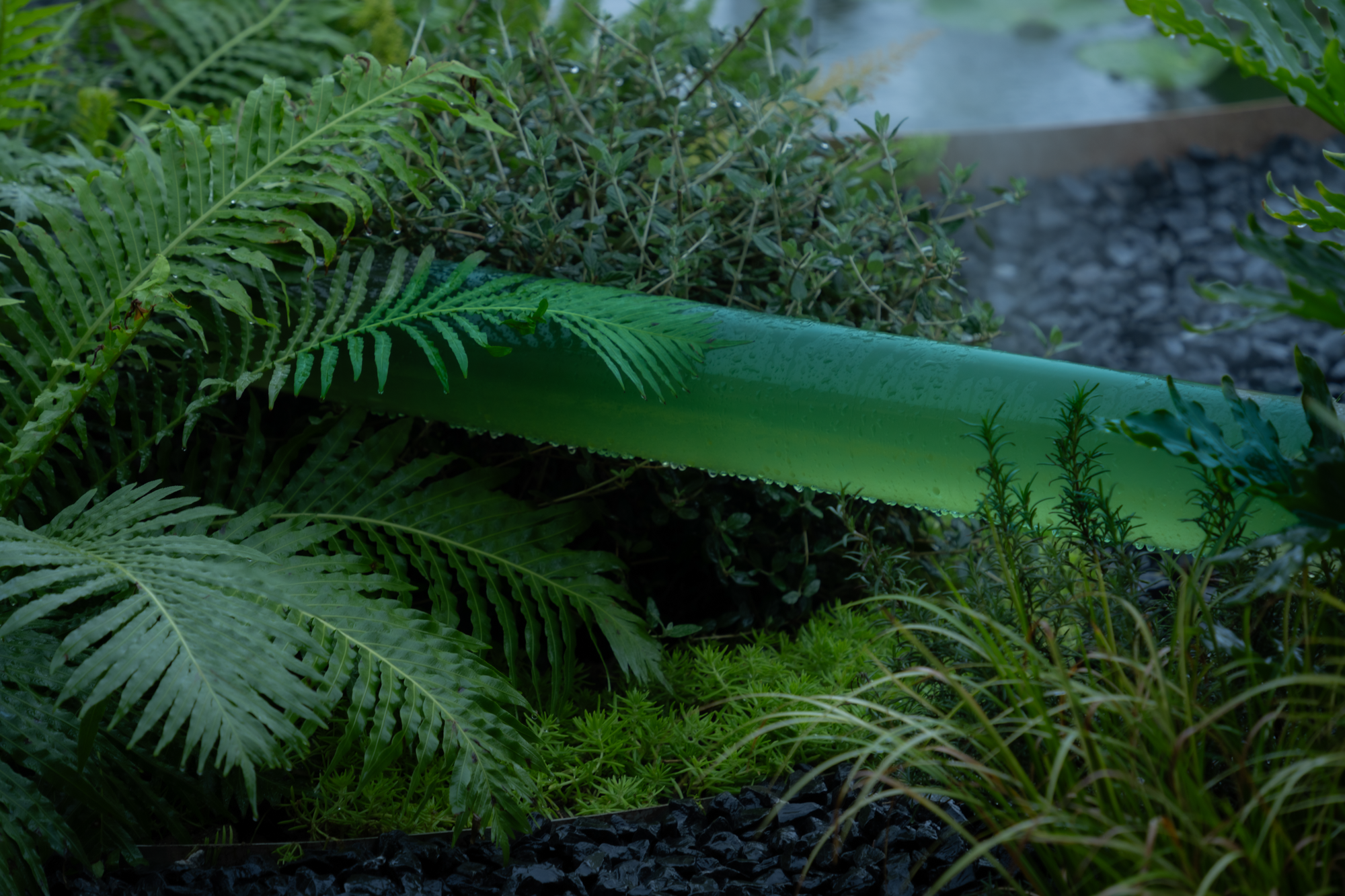 2023成都花展-微藻实验花园丨澳博景观丨2023丨四川成都-32