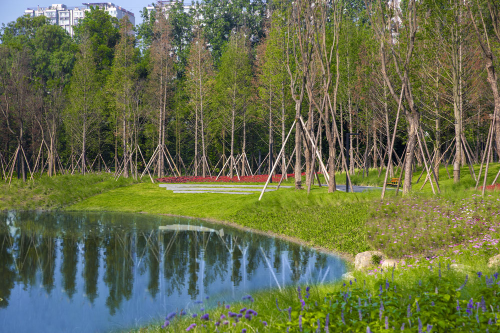 电建沙河源公园丨澳博景观丨成都-17