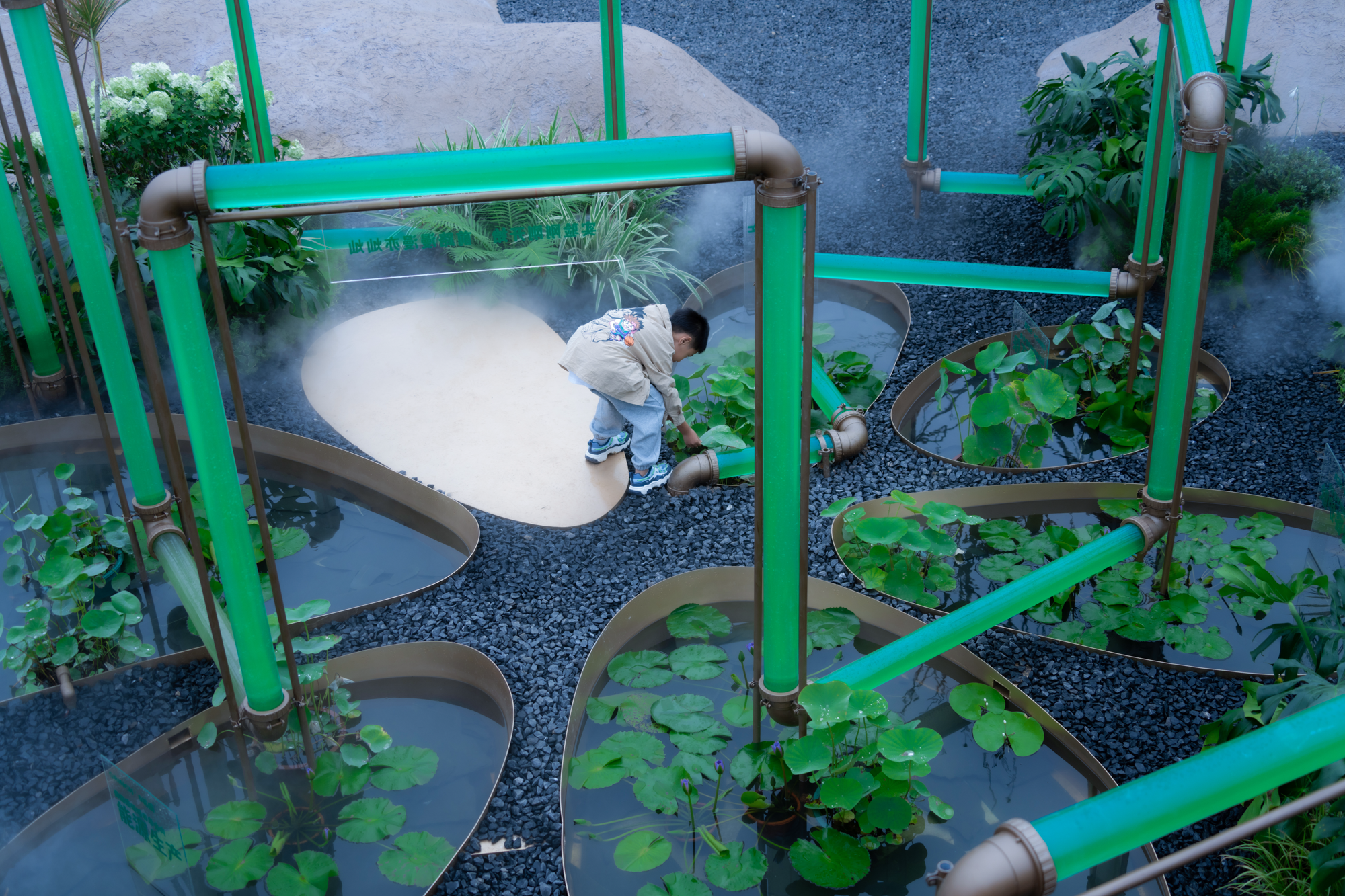 2023成都花展-微藻实验花园丨澳博景观丨2023丨四川成都-9