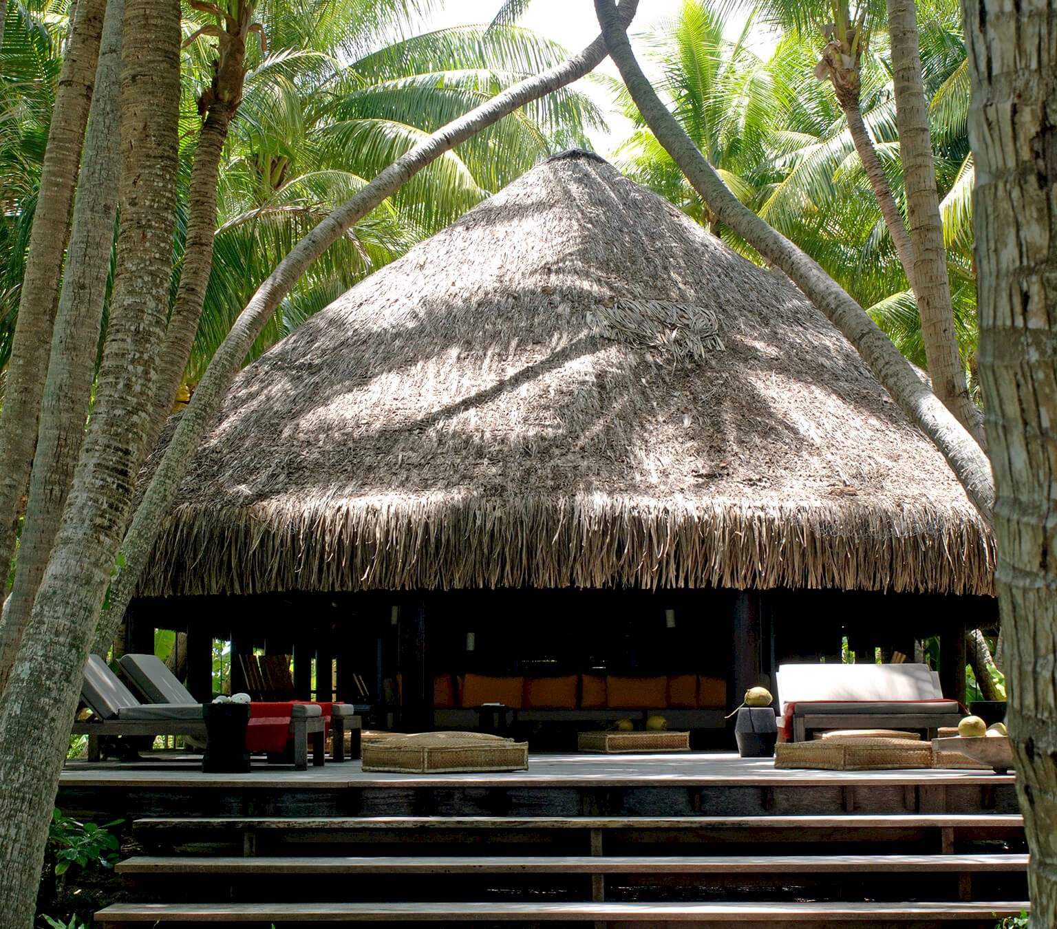 莫图塔内和纽约工厂-1