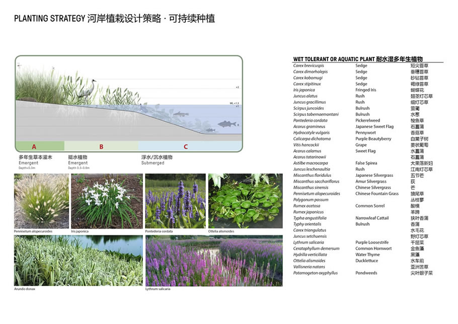 2021年ELA国际景观大奖 丨金茂温州平阳古鳌头景观规划与设计-26