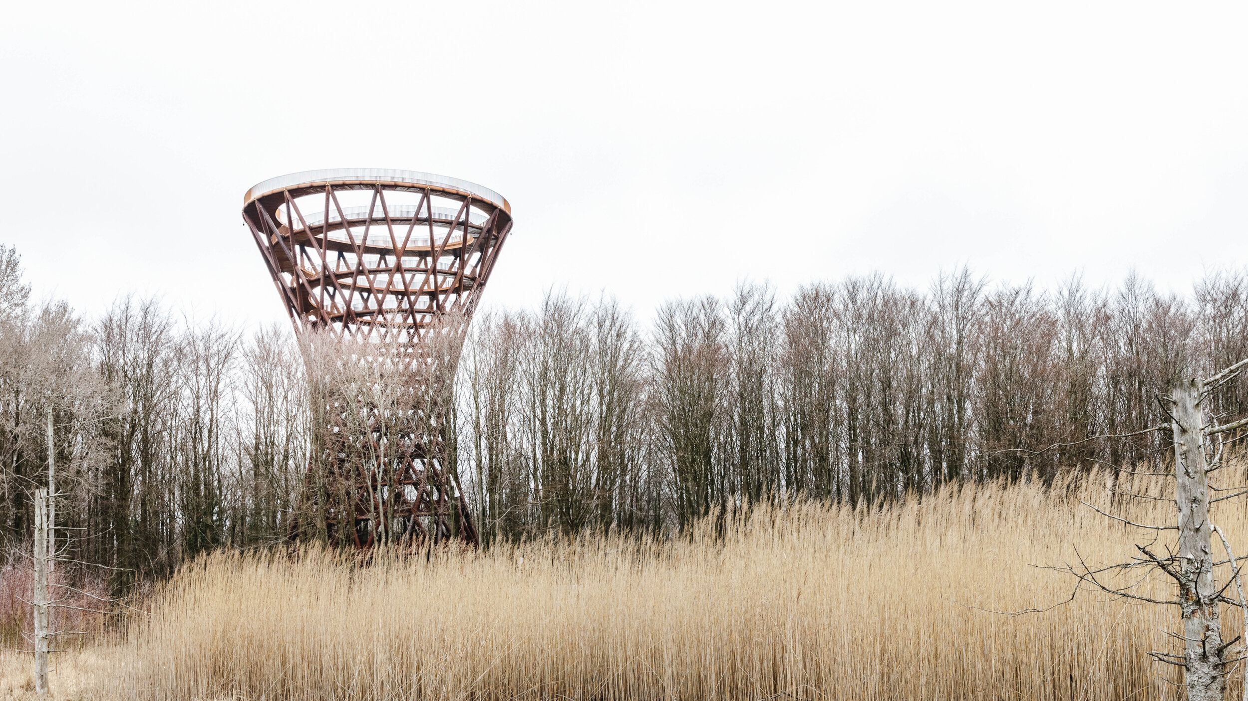 2020年加拿大AZ奖丨景观项目获奖作品：The Forest Tower - Camp Adventure Park-82