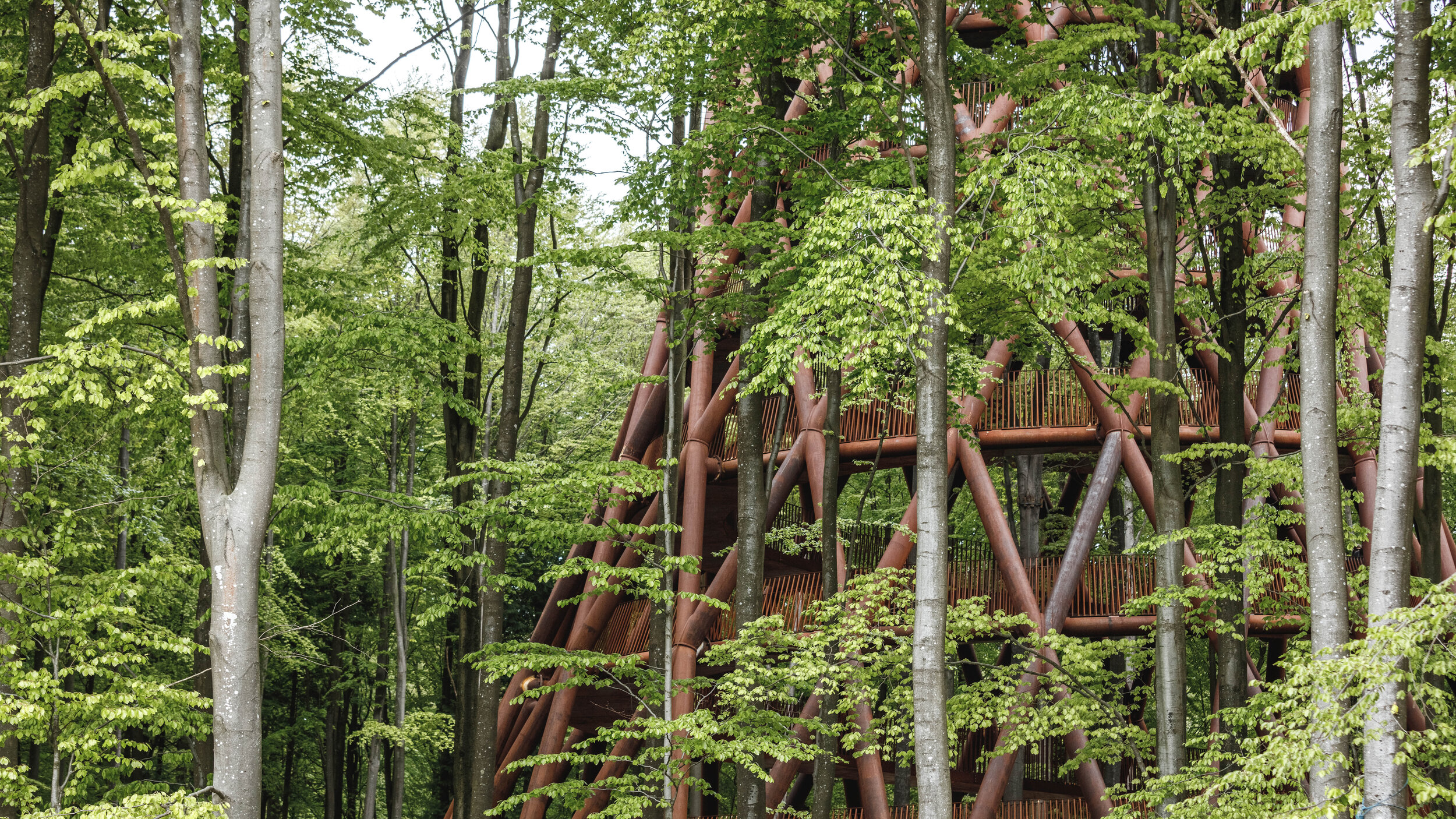 2020年加拿大AZ奖丨景观项目获奖作品：The Forest Tower - Camp Adventure Park-115