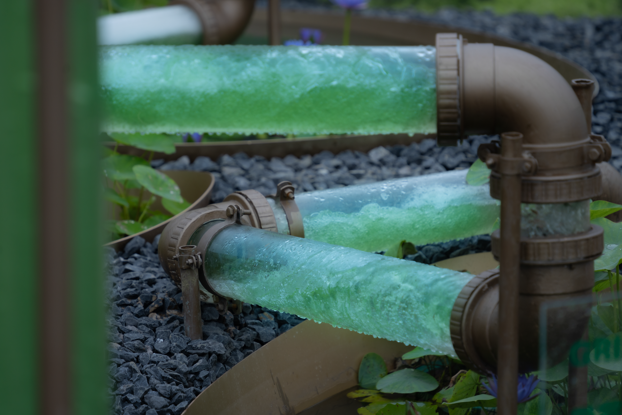 2023成都花展-微藻实验花园丨澳博景观丨2023丨四川成都-30