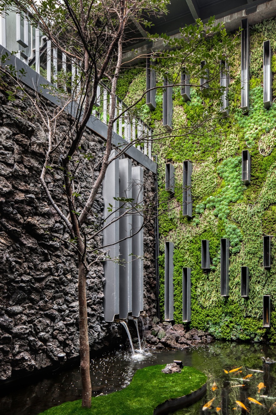墨西哥 Casa Espejo Verde 垂直花园丨Daniel Gómez Bilbao-8