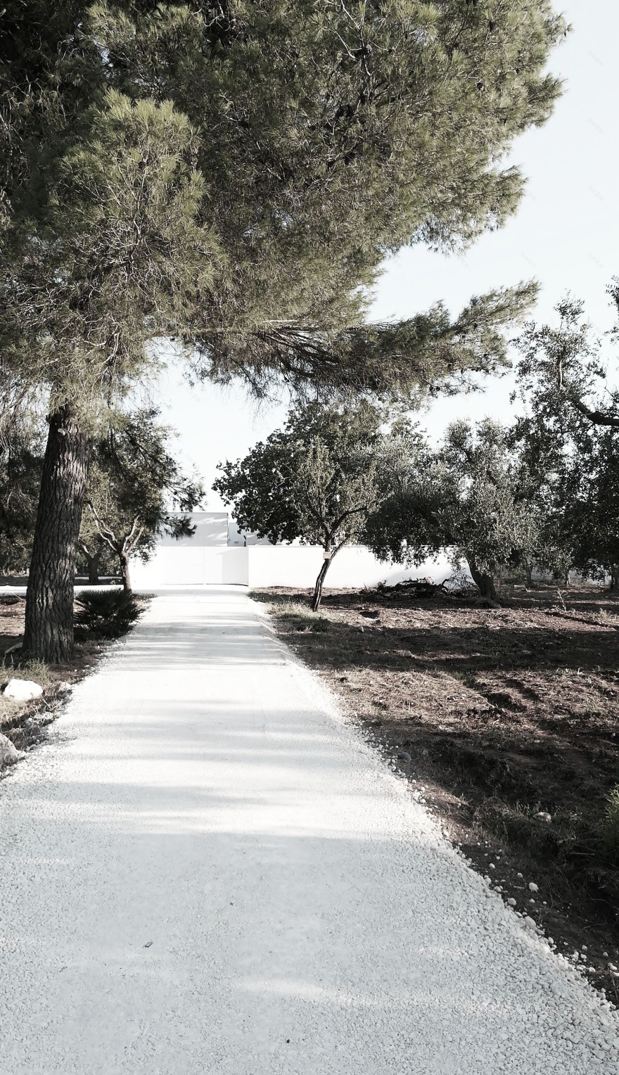 隐于自然的家庭绿洲 | 光伏建筑一体化之家-3