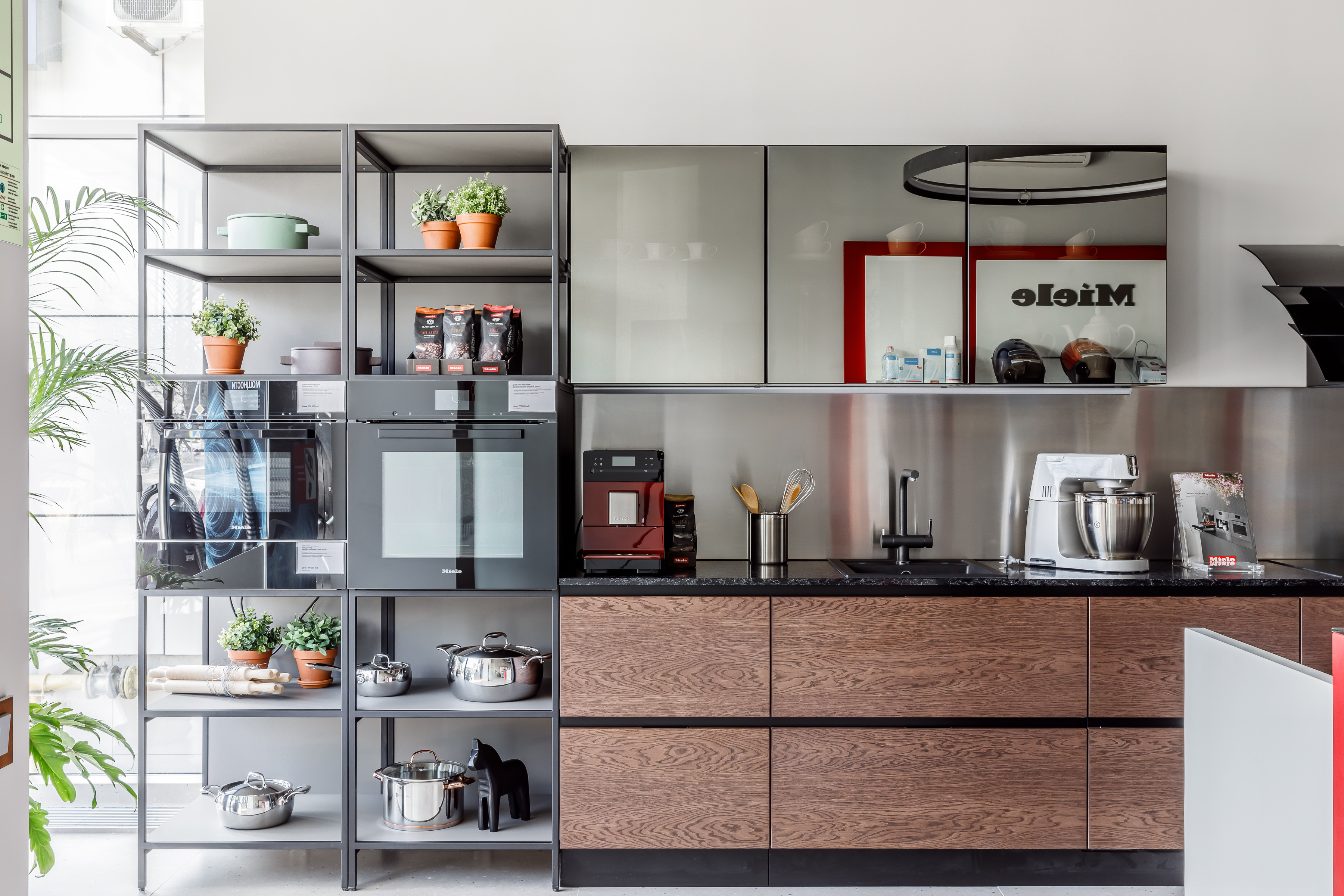 朱莉娅·诺瓦尔斯和米尔-10