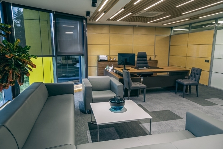 圣彼得堡采石服务公司办公室-8