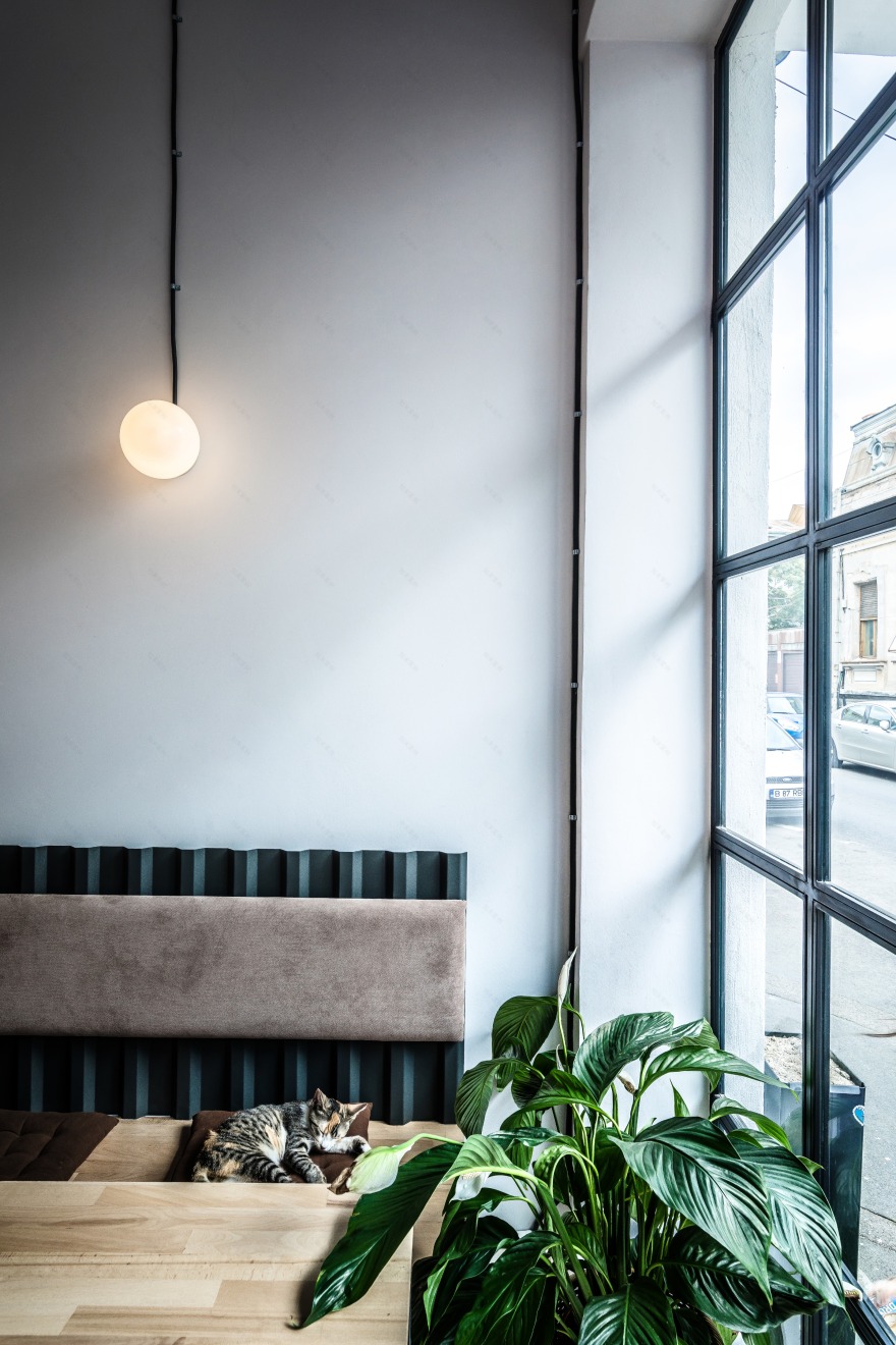 布加勒斯特的一家名为索托的咖啡酒吧,支持当地艺术家-9