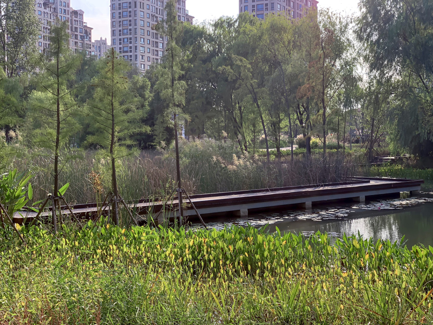 昆山森林公园西入口-37