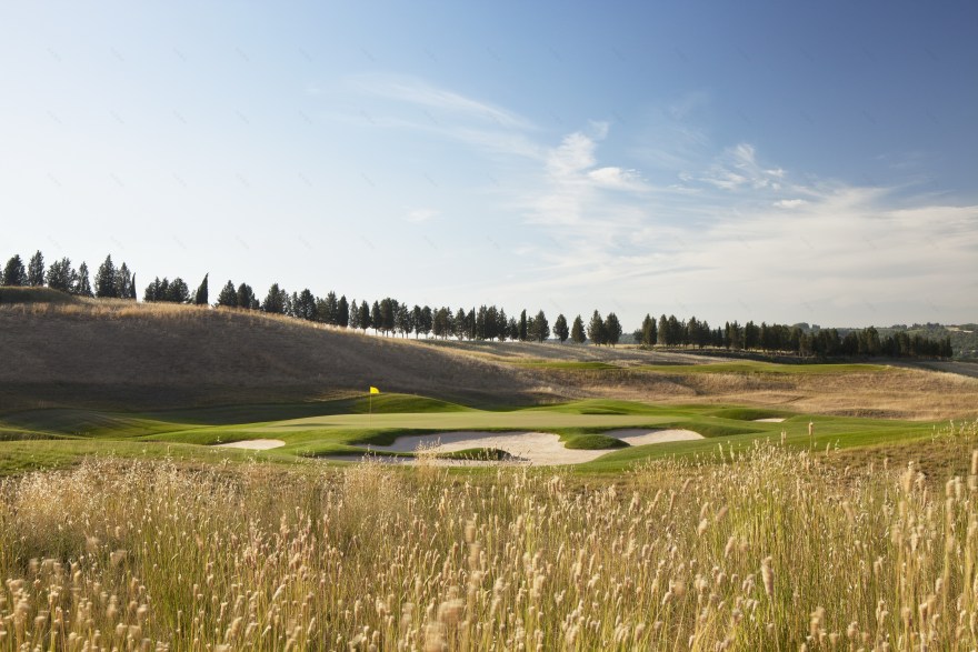 罗斯伍德博斯克城堡-14