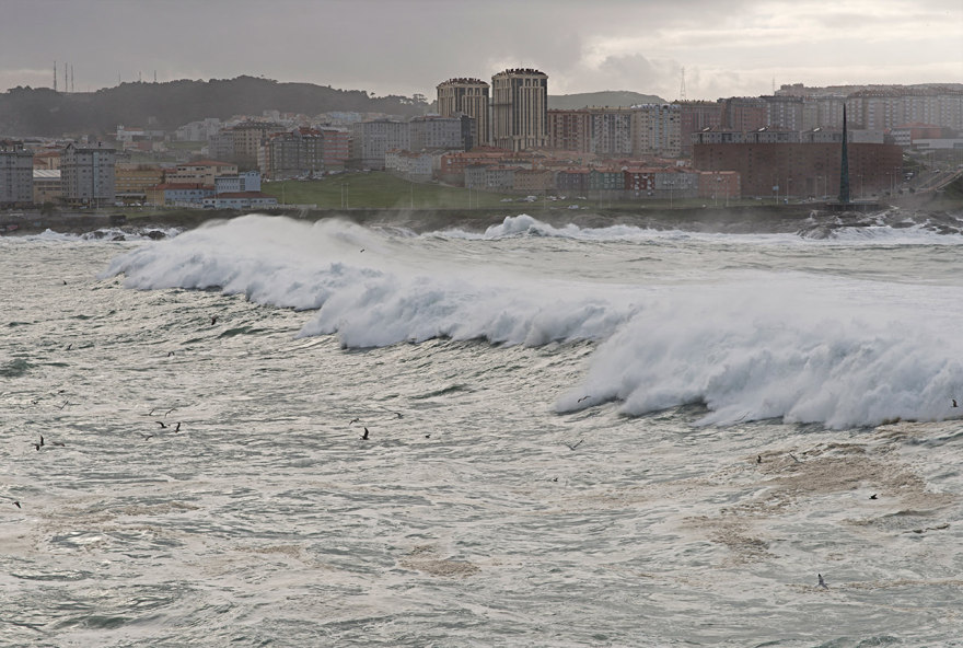 魅力海滨的单调计划(Monotonie als Programm)-15