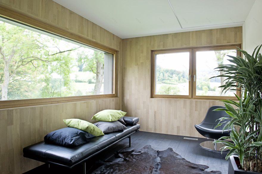 卢森堡大型被动式木质混凝土别墅-11