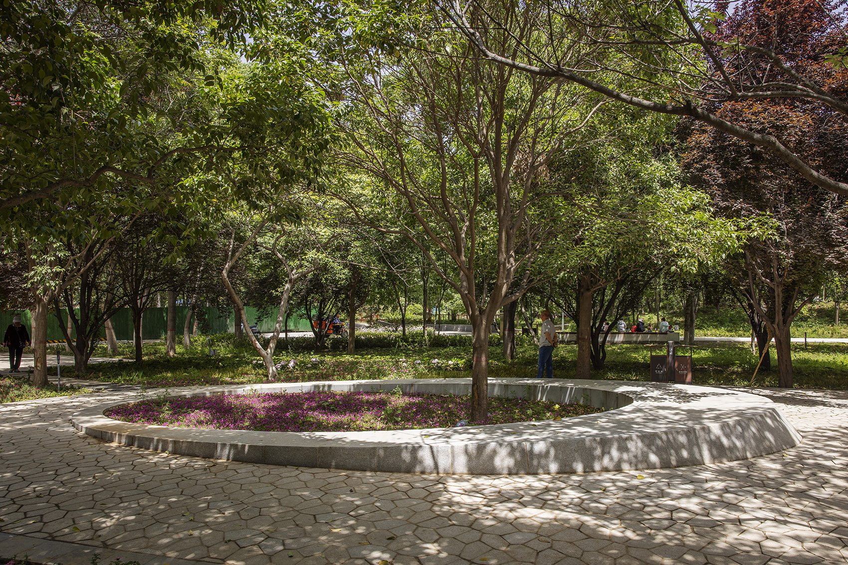 郑州古树苑公园一期景观提升，河南/老树的新生-34