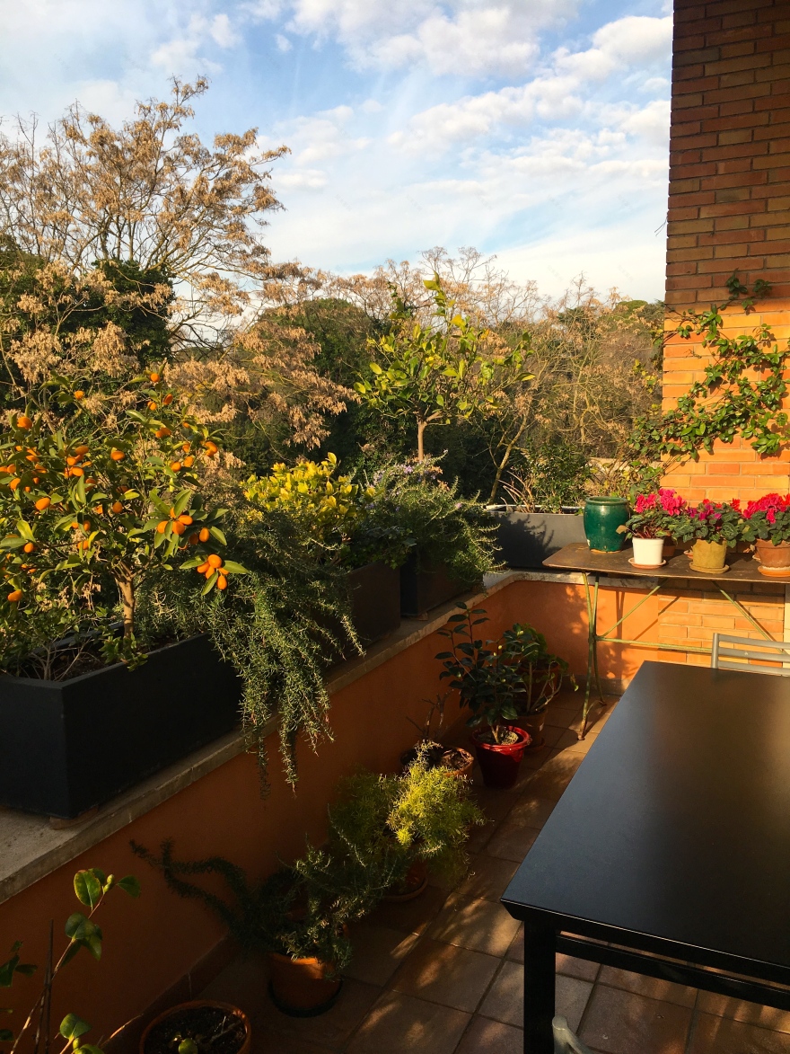 罗马历史建筑中的现代色彩-30