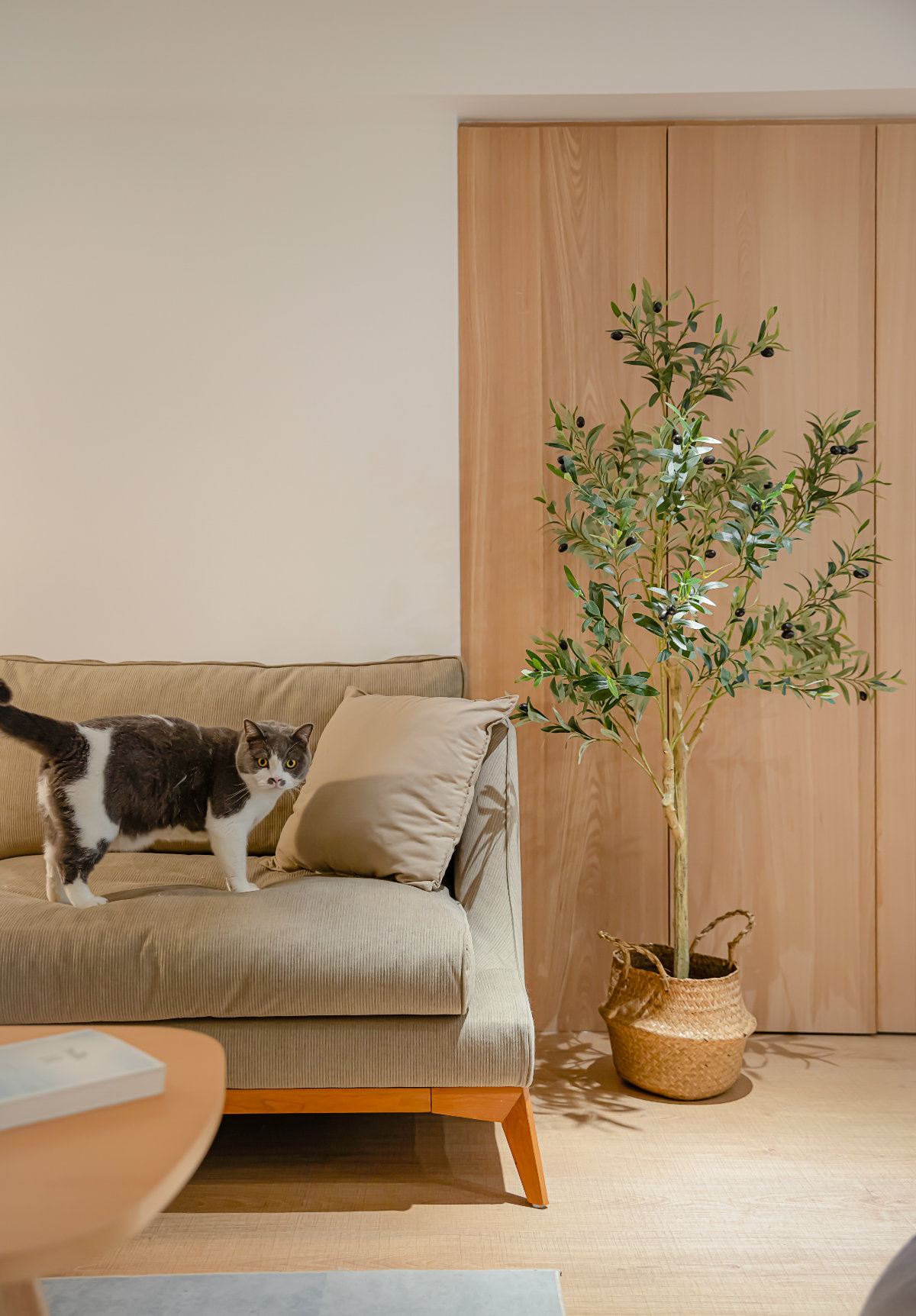 日式风格的两人两猫,loft公寓设计-21