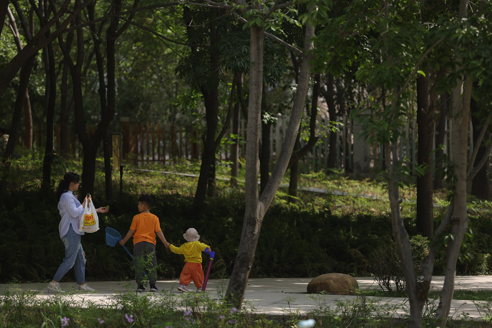 郑州古树苑公园一期景观提升，河南/老树的新生-67