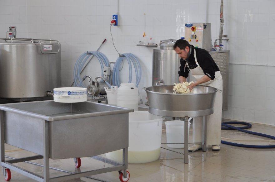 复古车间变身奶酪工坊,手工制作展现纯粹美味-3