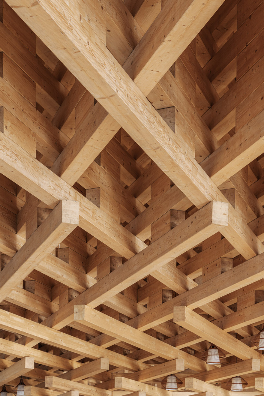 太原植物园丨中国太原丨DMAA-61