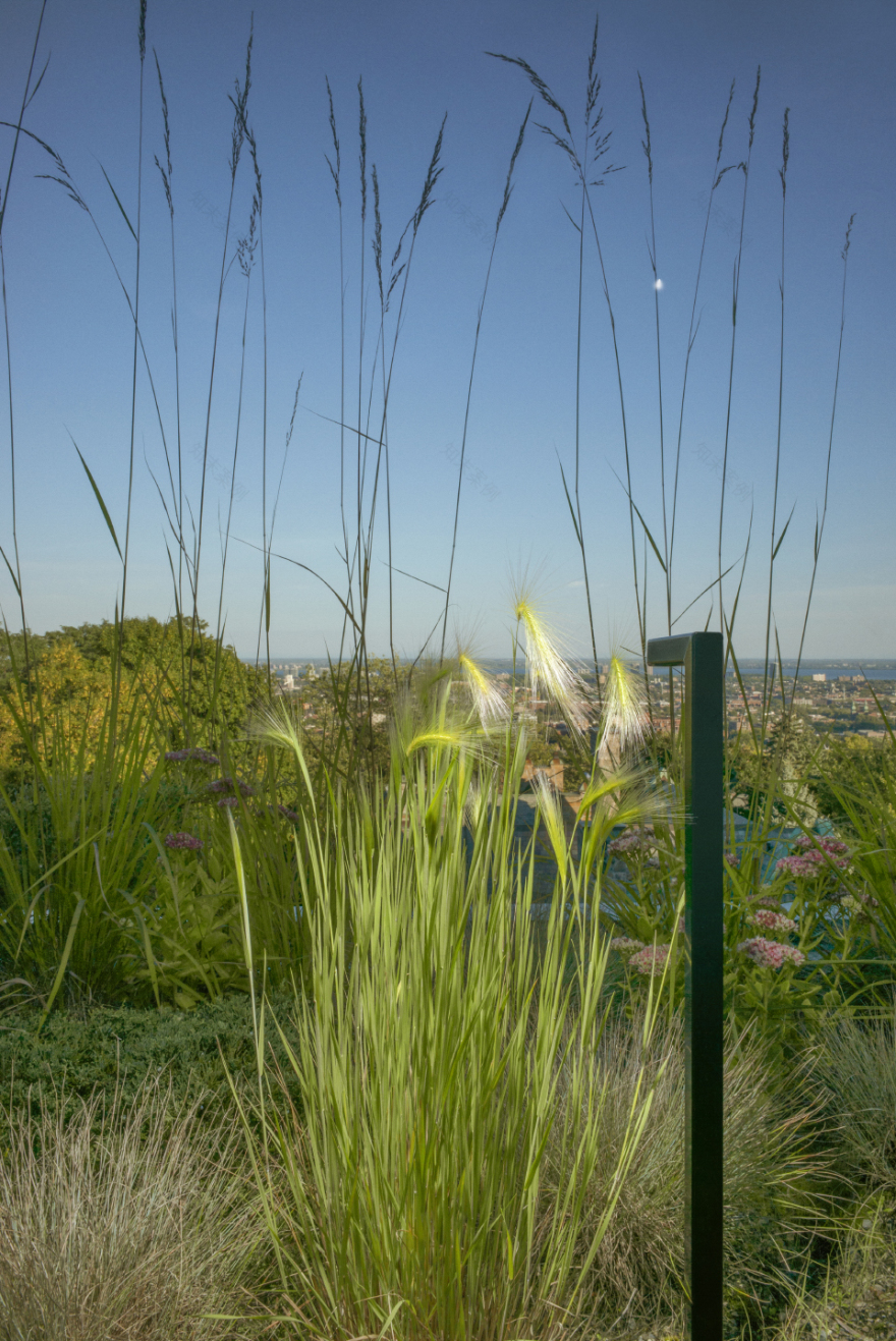 Clarke 屋顶露台景观设计丨MYTO d.e.v.-30