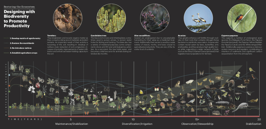 卢旺达“一个健康”理念校园,赋能未来农业领导者-25