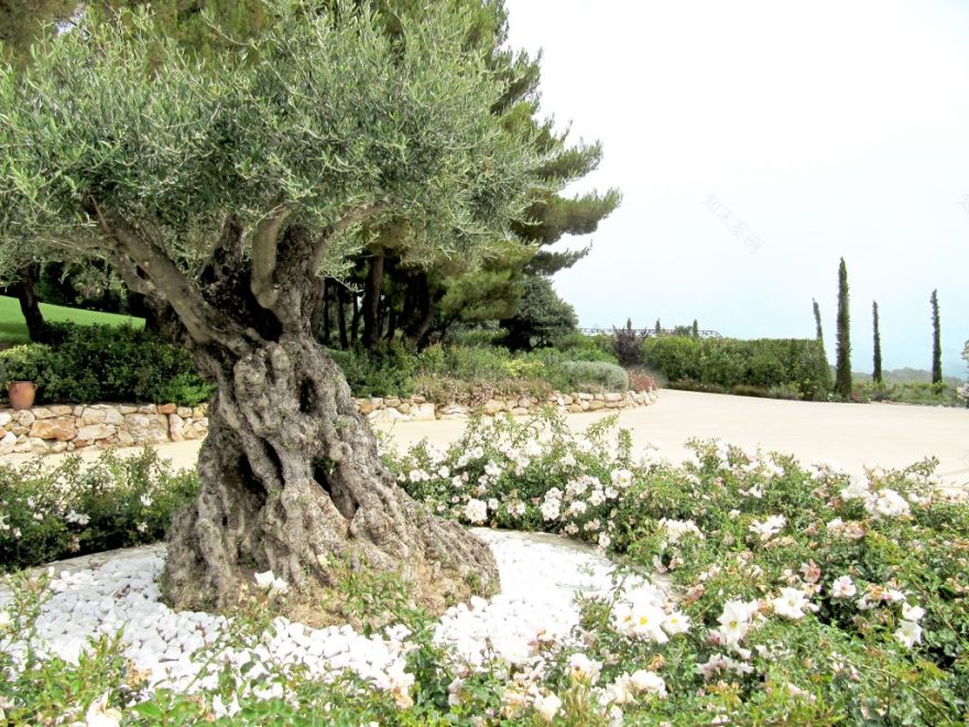 悬崖之上的地中海花园-22