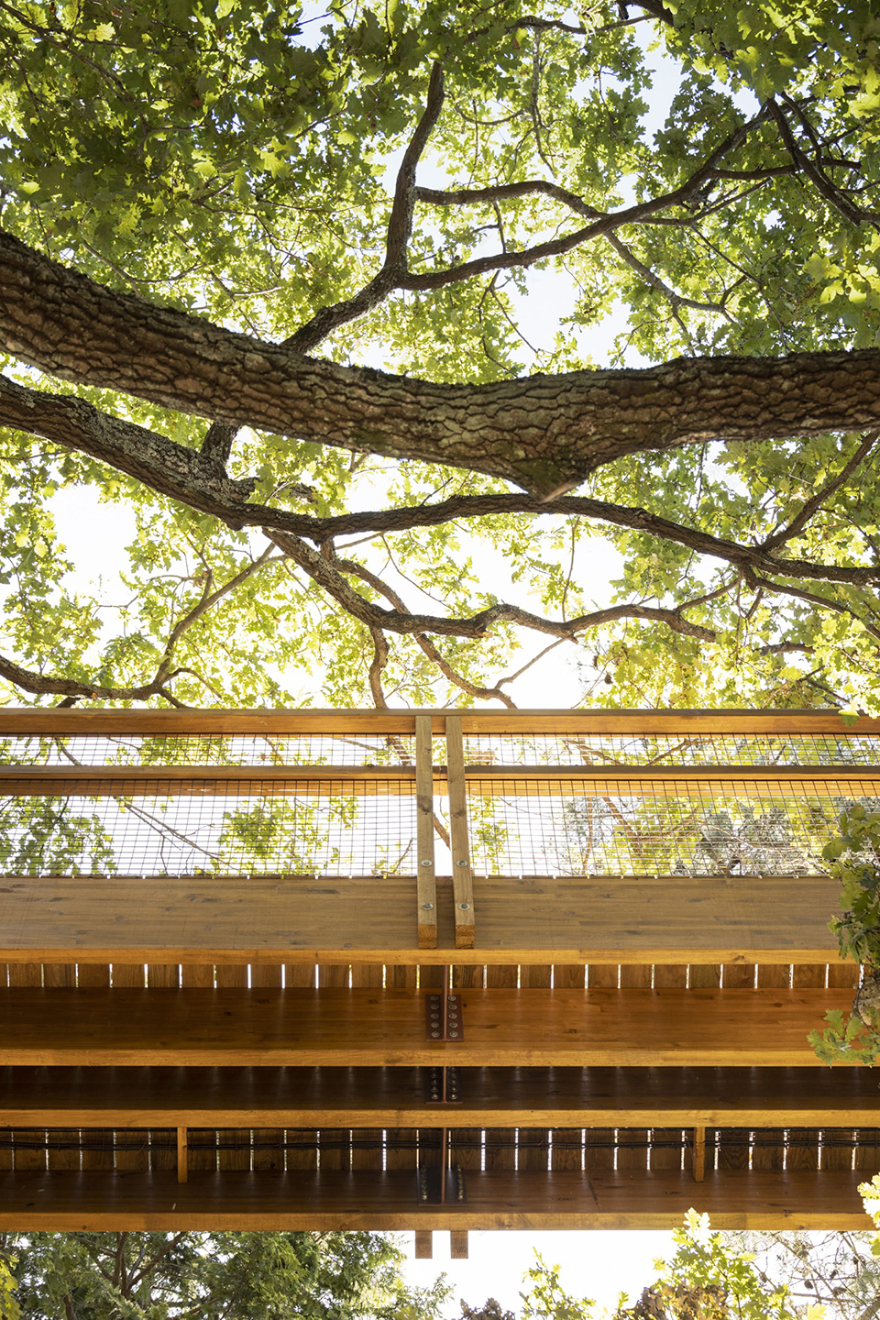 赛拉维斯公园树冠步道丨葡萄牙波尔图丨卡洛斯·卡斯塔涅拉建筑事务所-15
