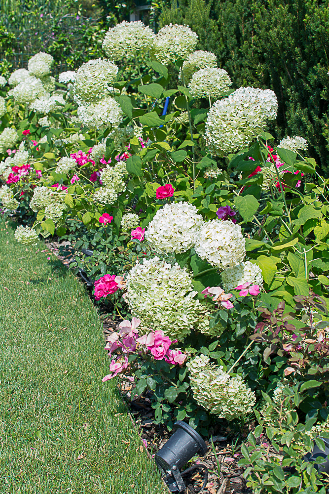 经典法式庭院设计丨Vivaio Dordoni-11