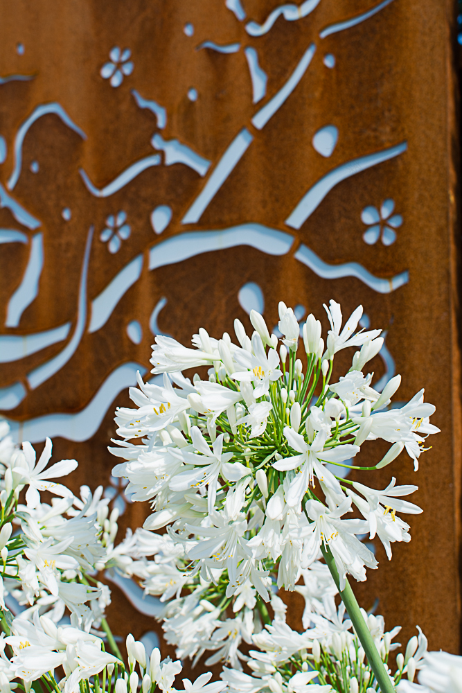 经典法式庭院设计丨Vivaio Dordoni-2