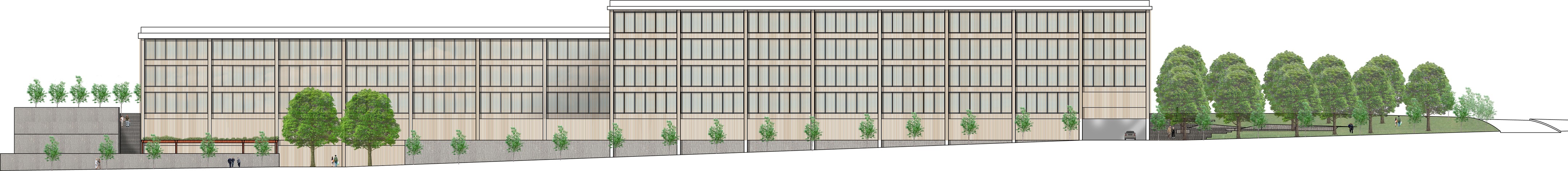 三庭院办公建筑 | 自然与城市的和谐交融-3